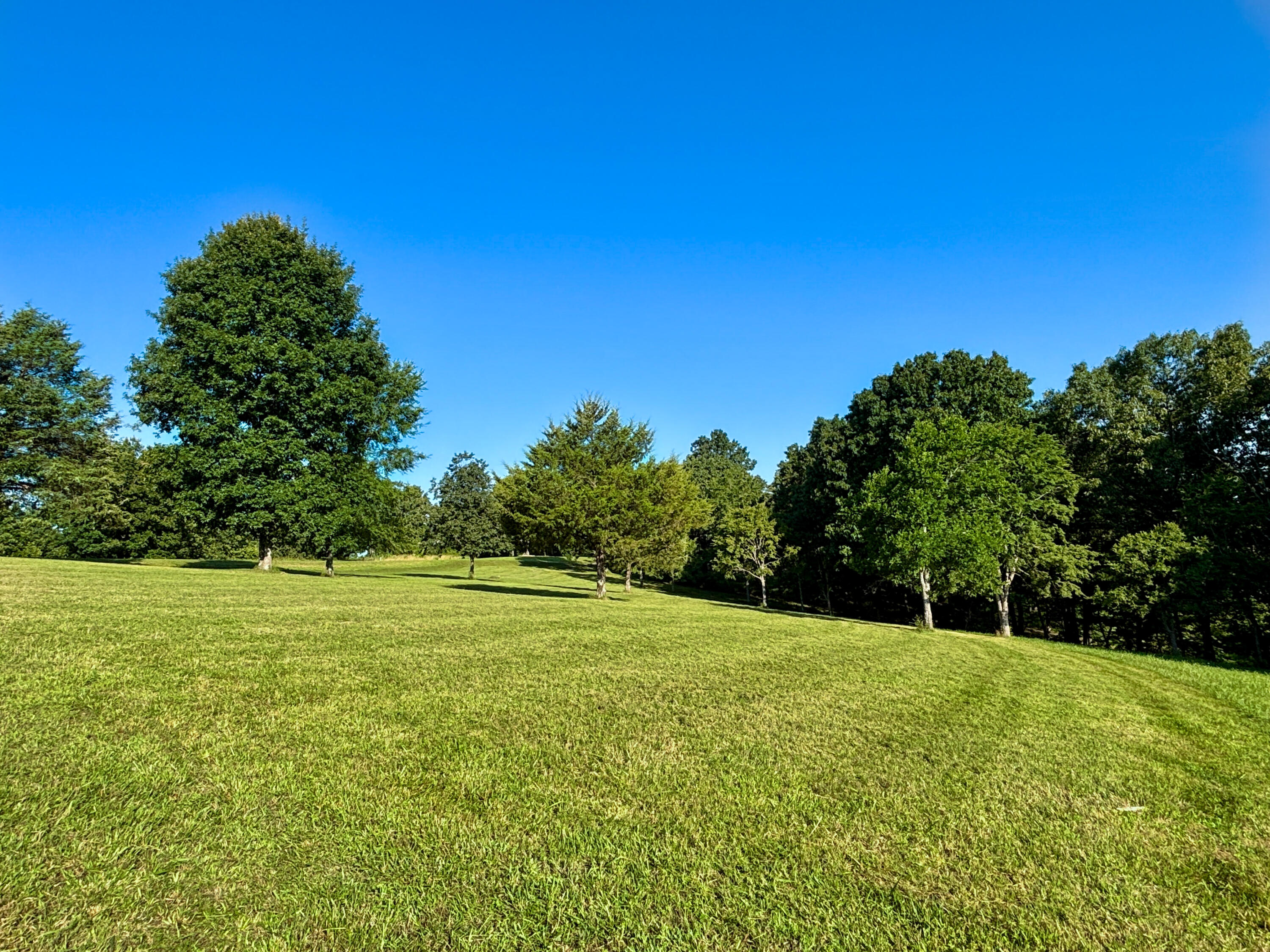Photo 59 - Residential for sale – 368  Regal Heights Lane  Galena, MO