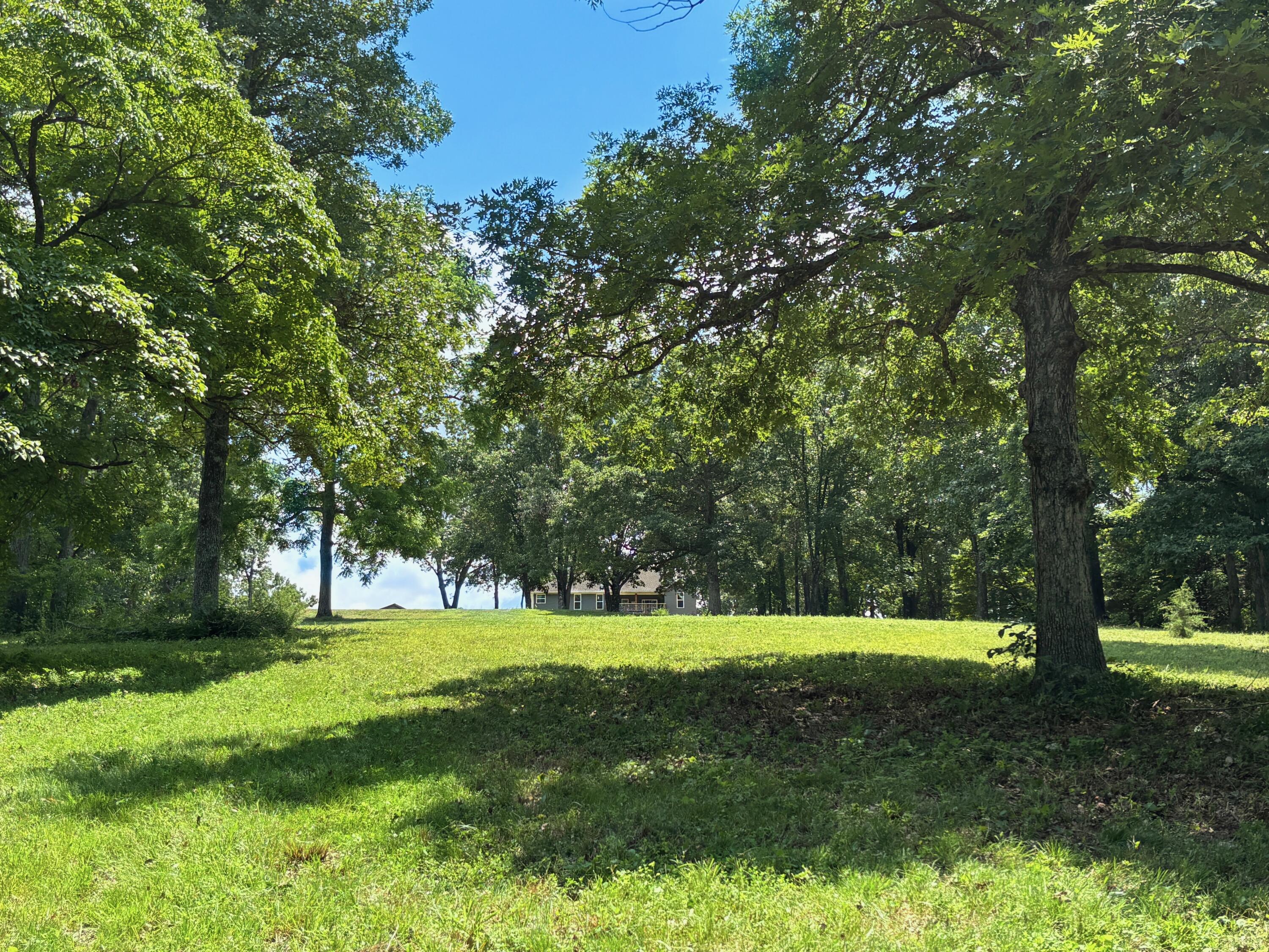 Photo 63 - Residential for sale – 368  Regal Heights Lane  Galena, MO