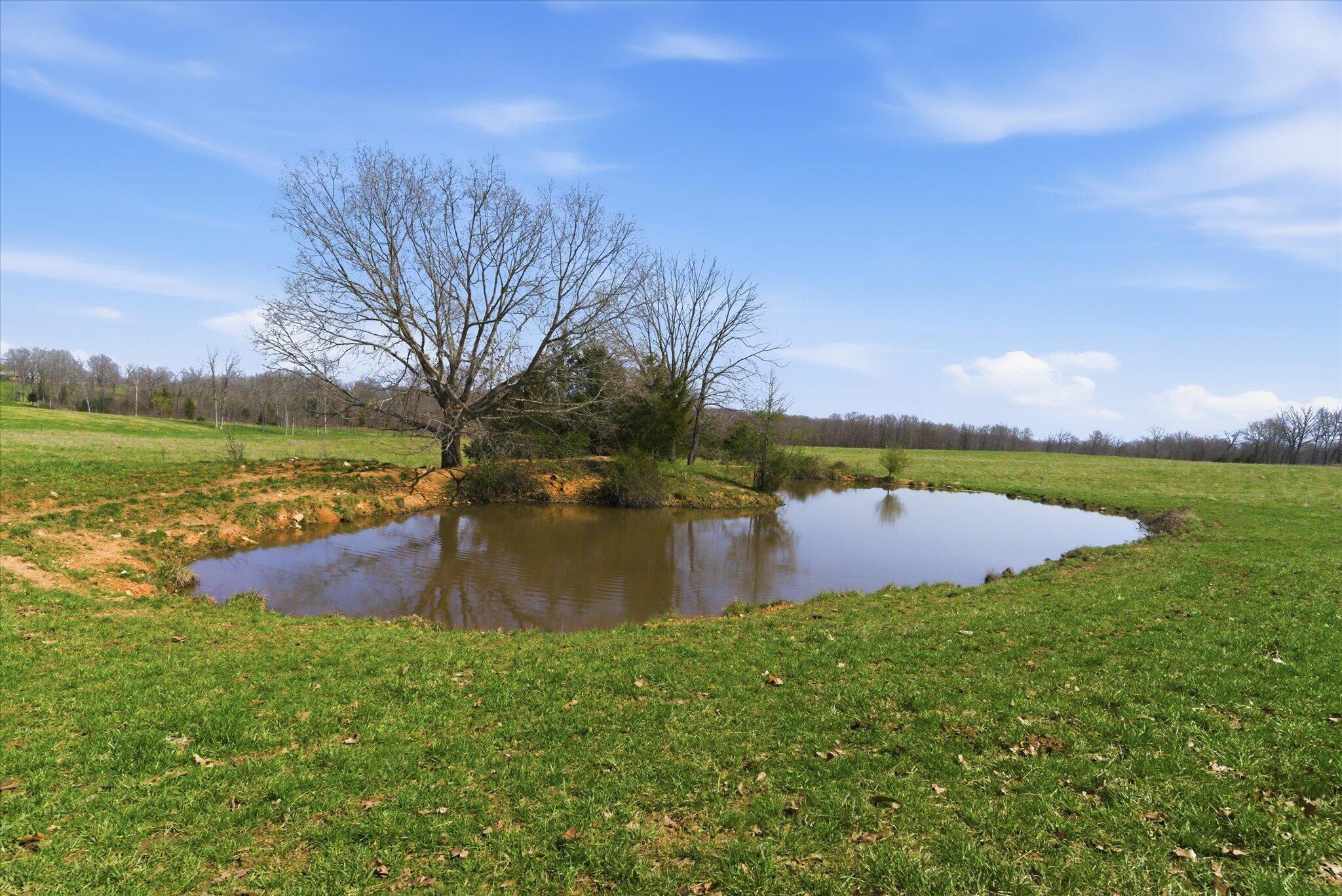 Photo 78 - Farm for sale – 8896  State Route Zz   West Plains, MO