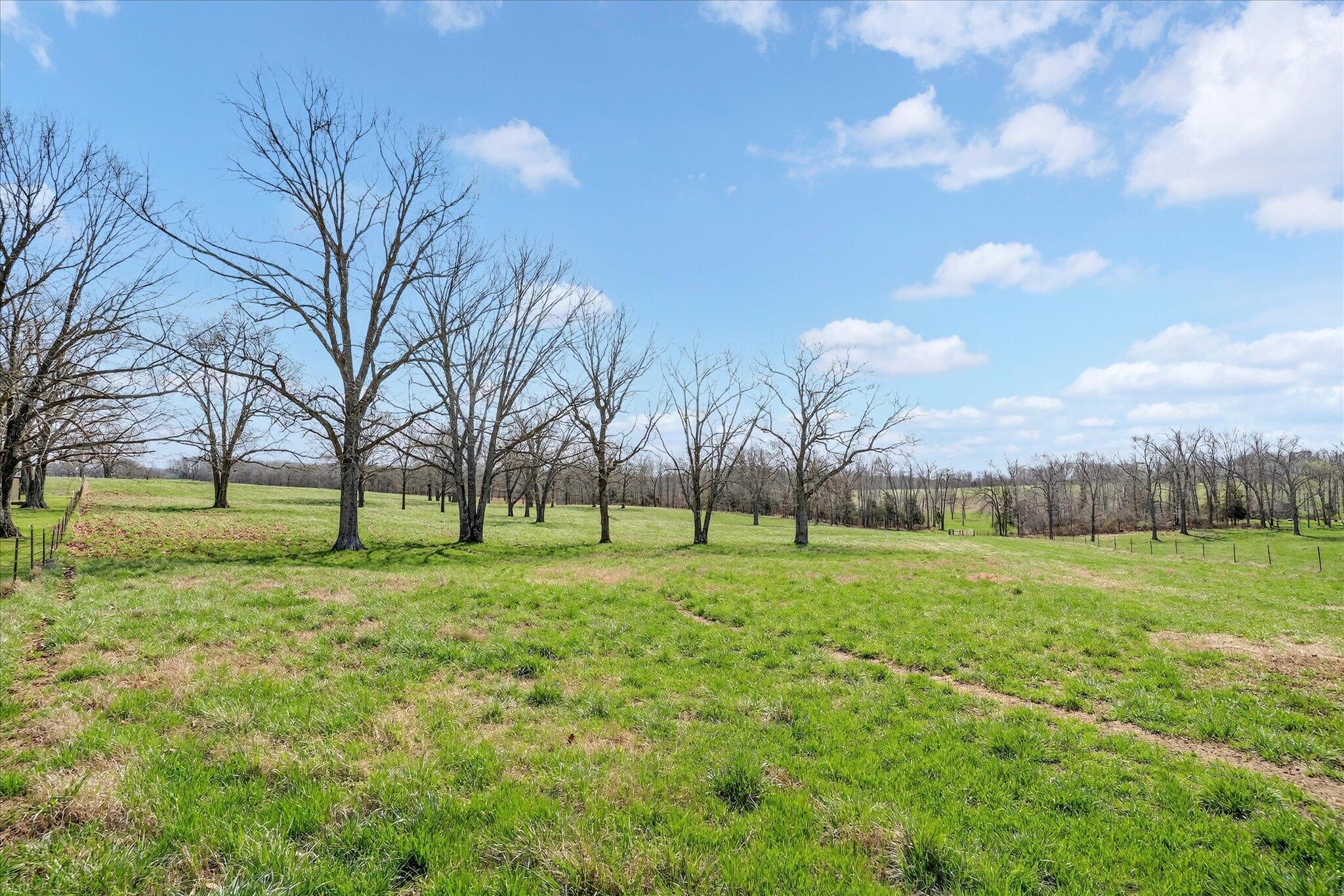Photo 63 - Farm for sale – 8896  State Route Zz   West Plains, MO