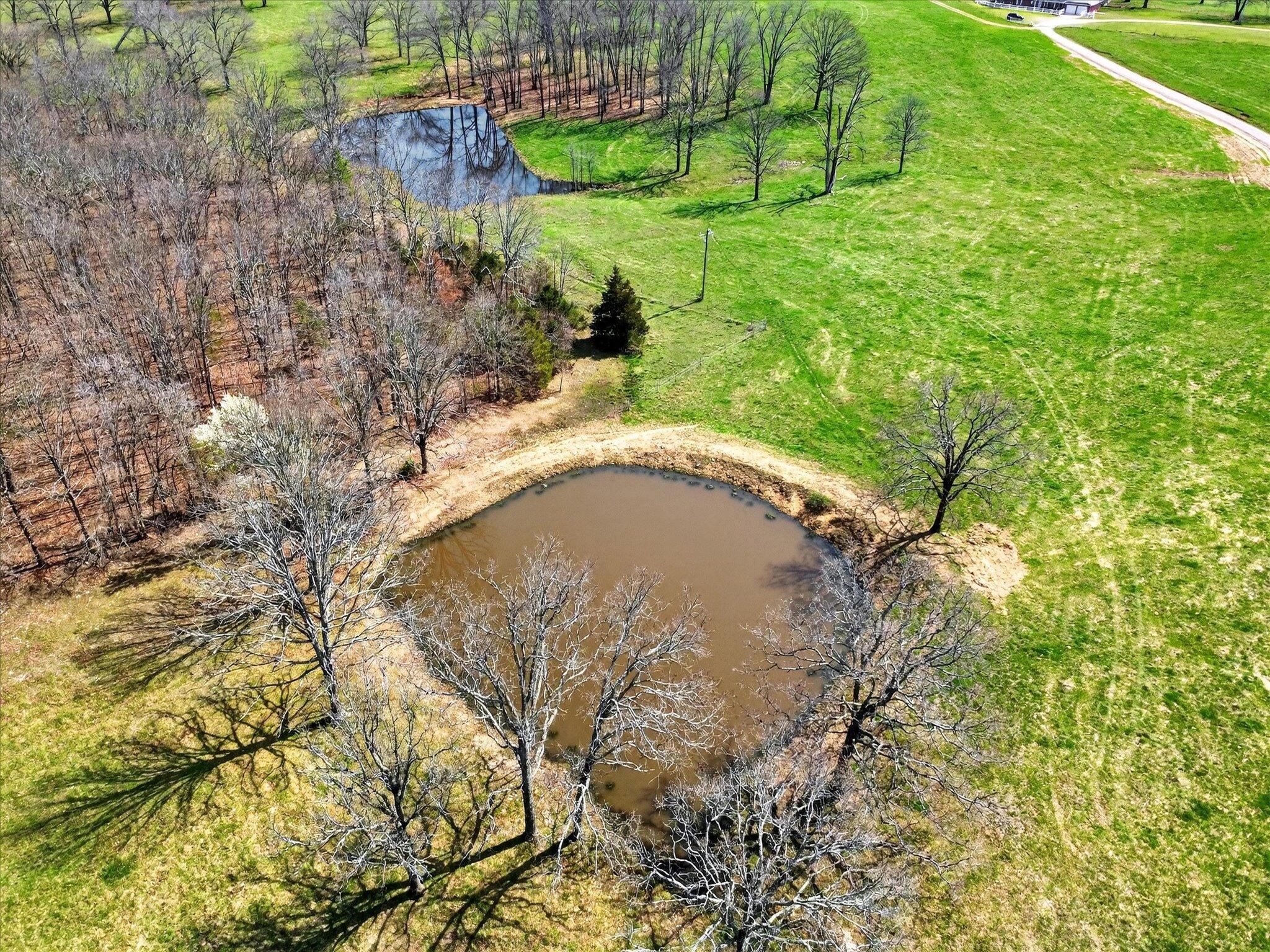 Photo 61 - Farm for sale – 8896  State Route Zz   West Plains, MO