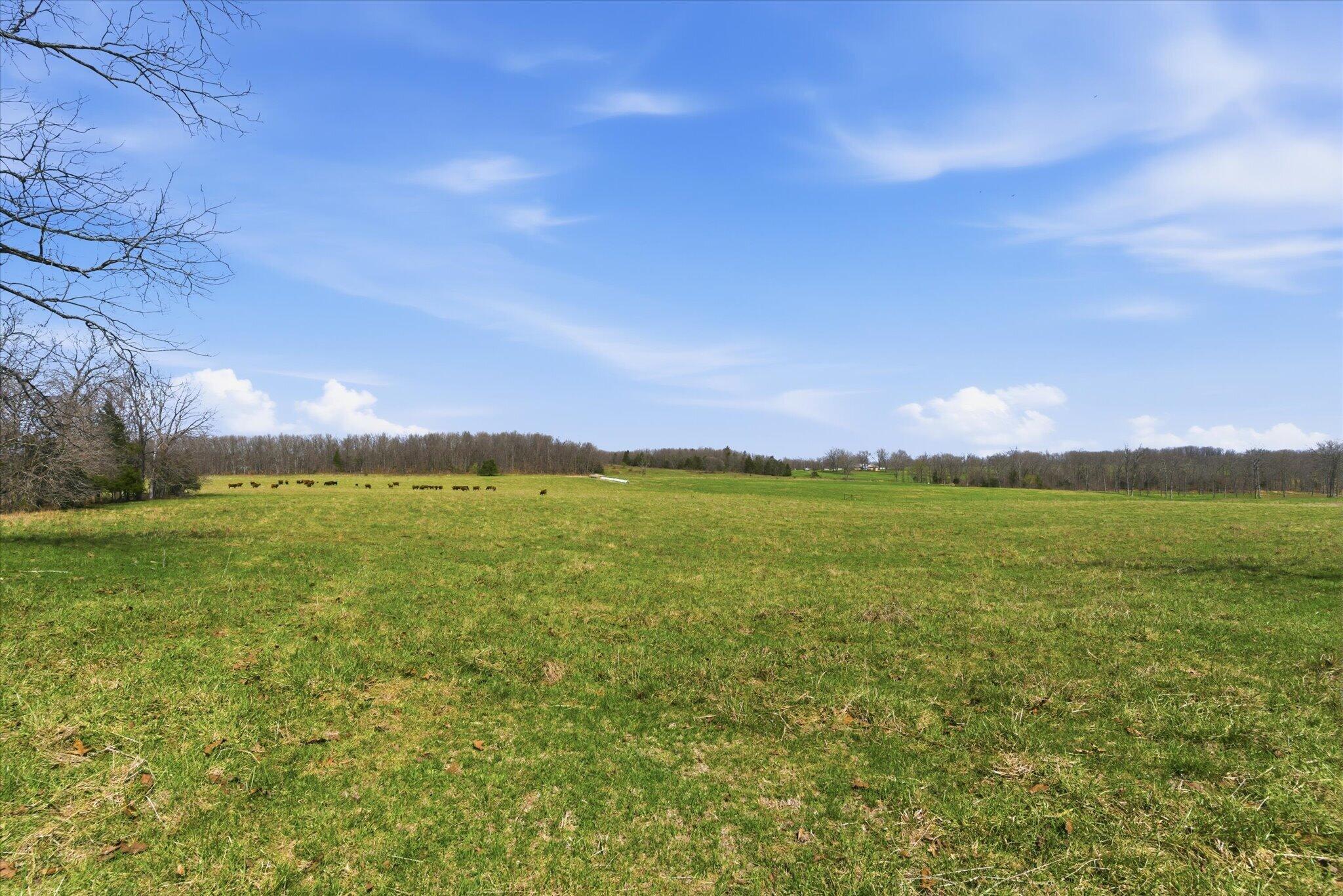 Photo 66 - Farm for sale – 8896  State Route Zz   West Plains, MO