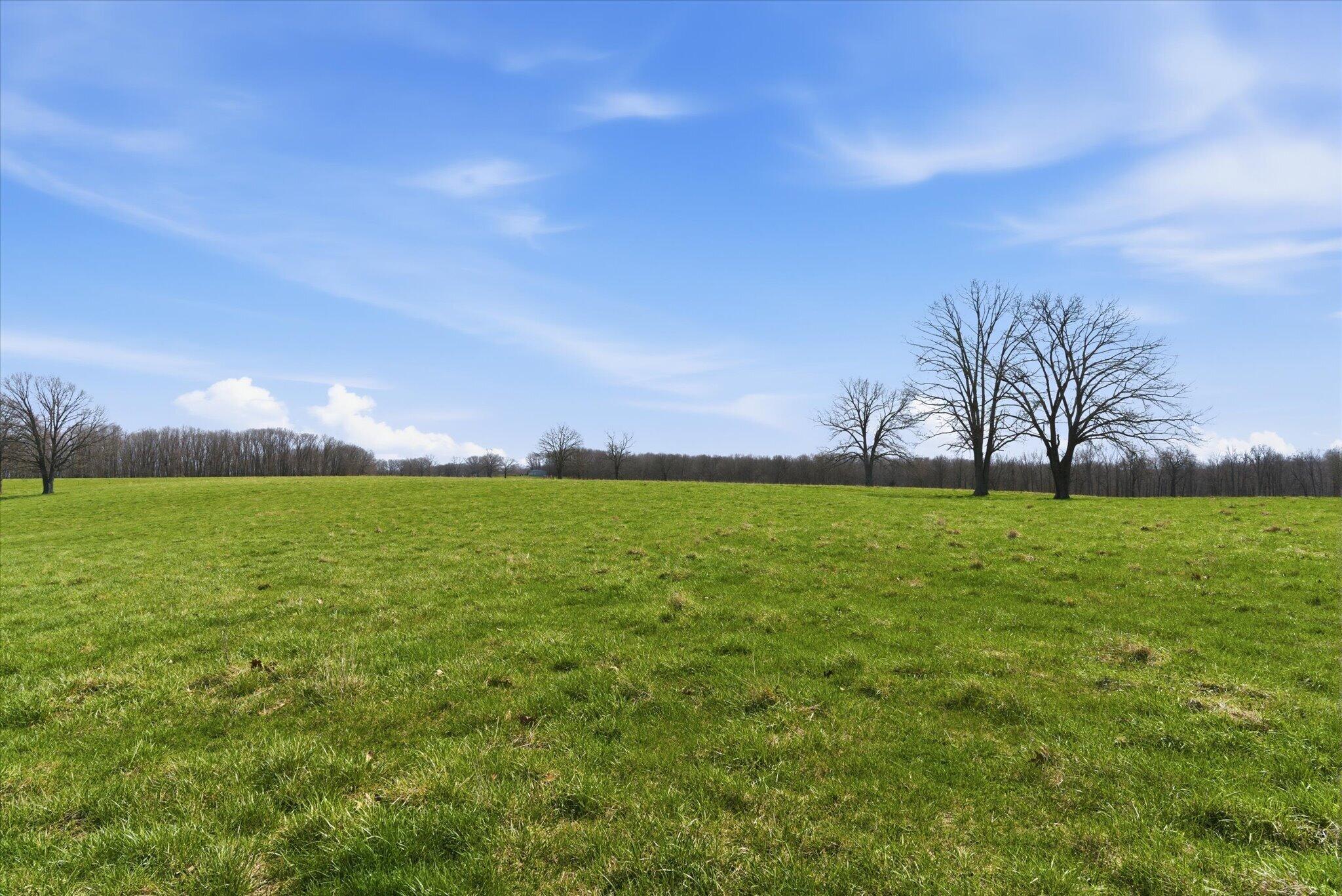 Photo 70 - Farm for sale – 8896  State Route Zz   West Plains, MO