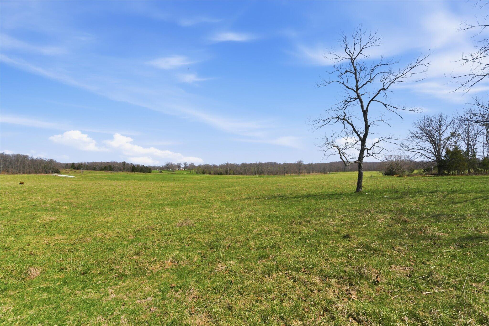 Photo 77 - Farm for sale – 8896  State Route Zz   West Plains, MO