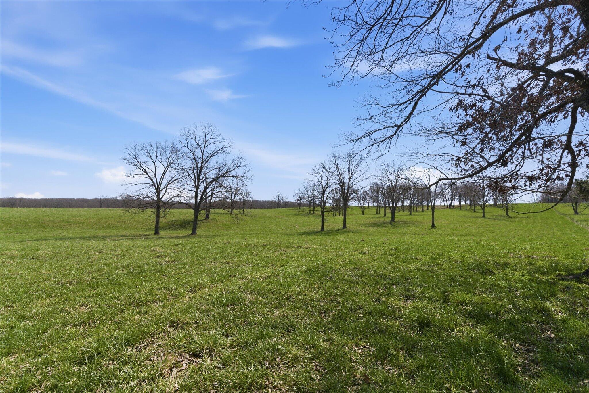 Photo 75 - Farm for sale – 8896  State Route Zz   West Plains, MO