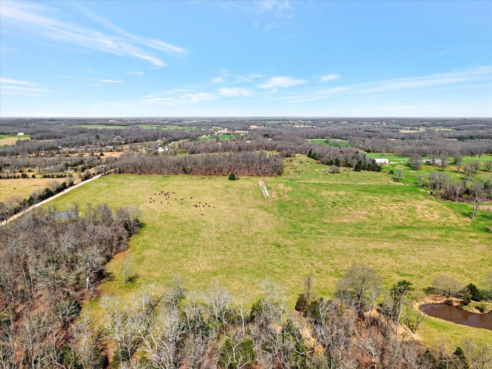 Photo 64 - Farm for sale – 8896  State Route Zz   West Plains, MO