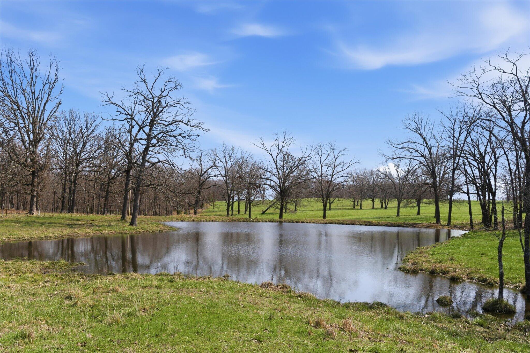 Photo 68 - Farm for sale – 8896  State Route Zz   West Plains, MO
