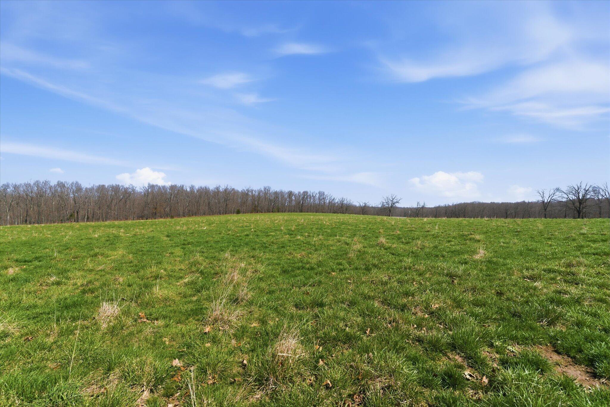 Photo 73 - Farm for sale – 8896  State Route Zz   West Plains, MO