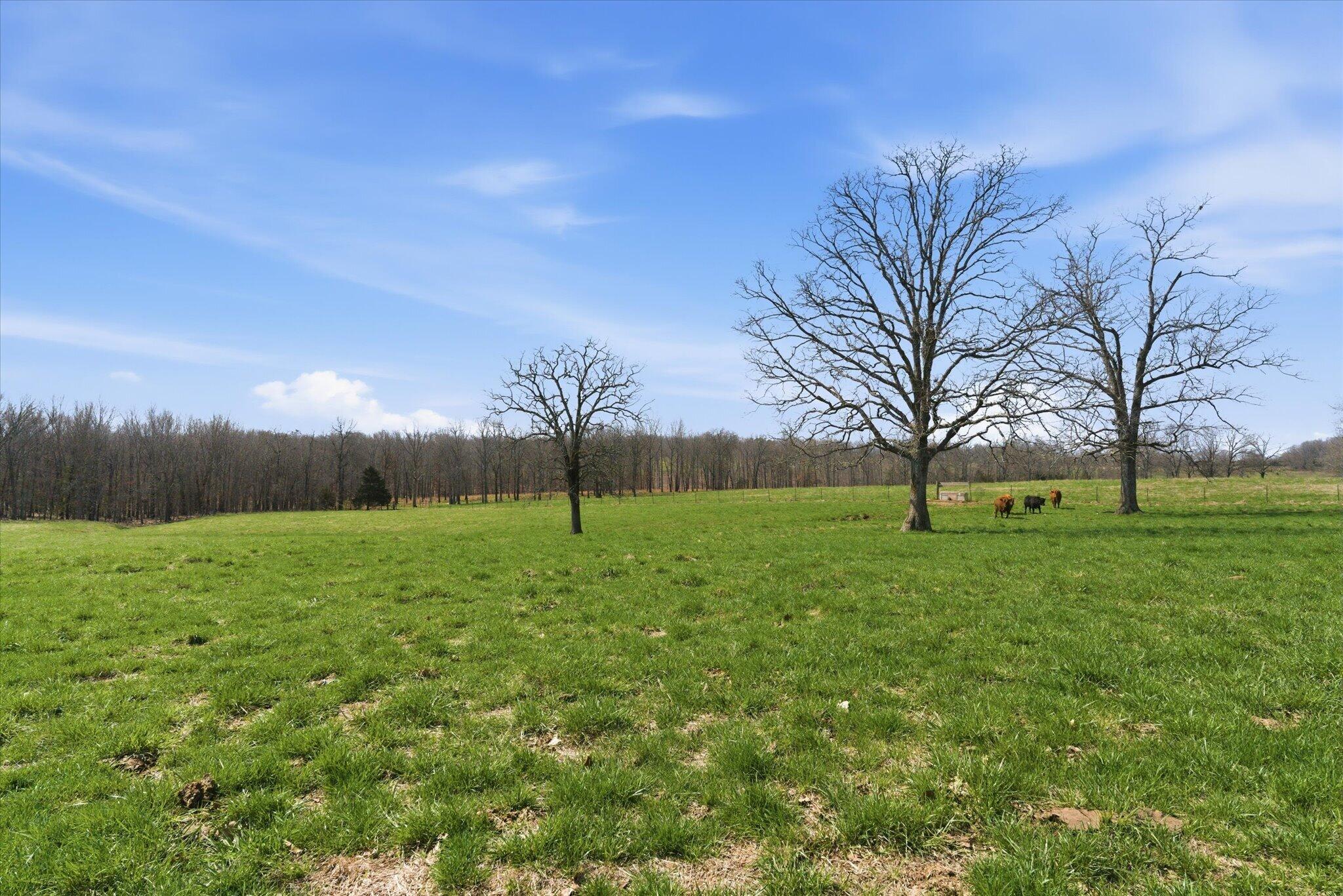 Photo 72 - Farm for sale – 8896  State Route Zz   West Plains, MO
