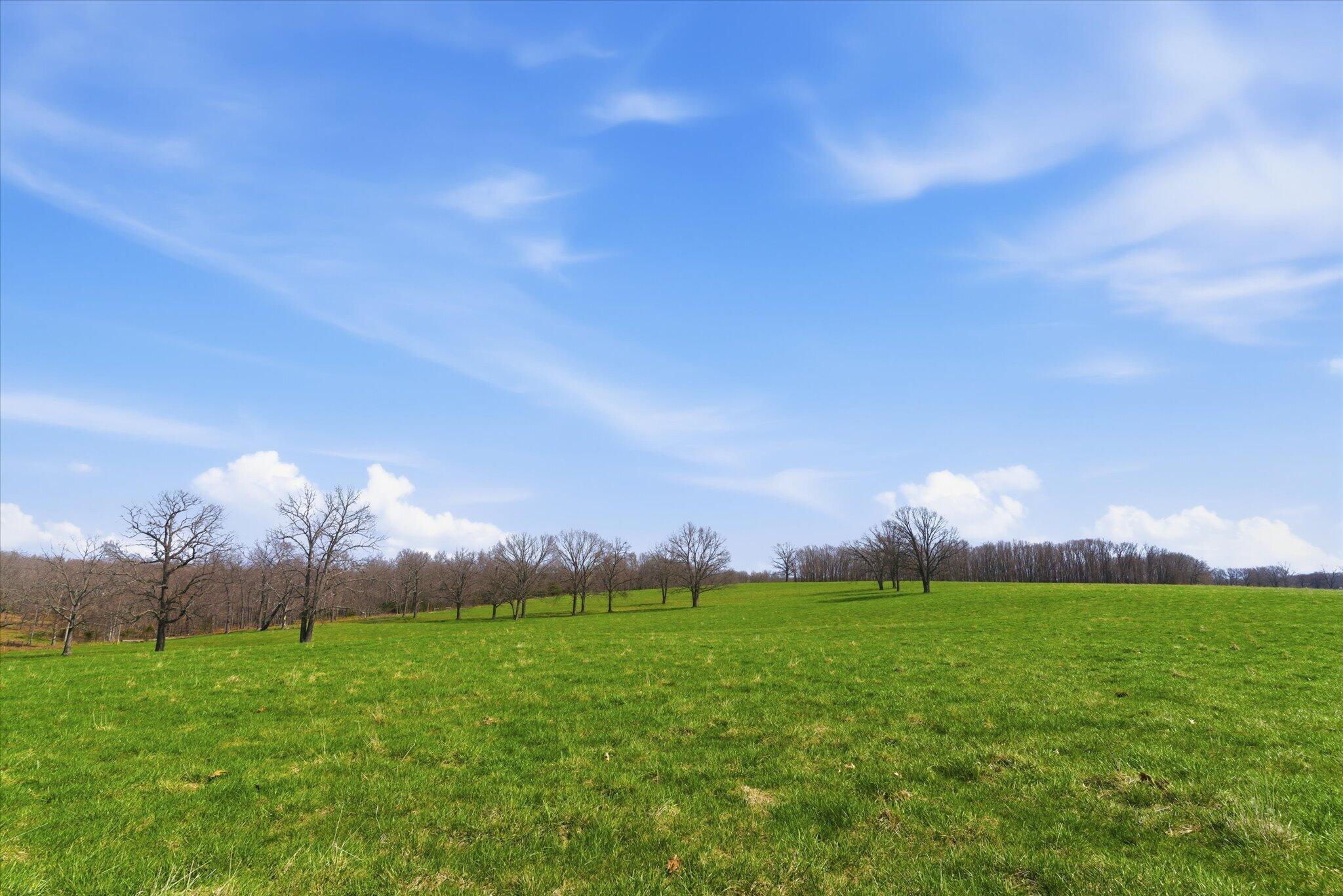 Photo 69 - Farm for sale – 8896  State Route Zz   West Plains, MO