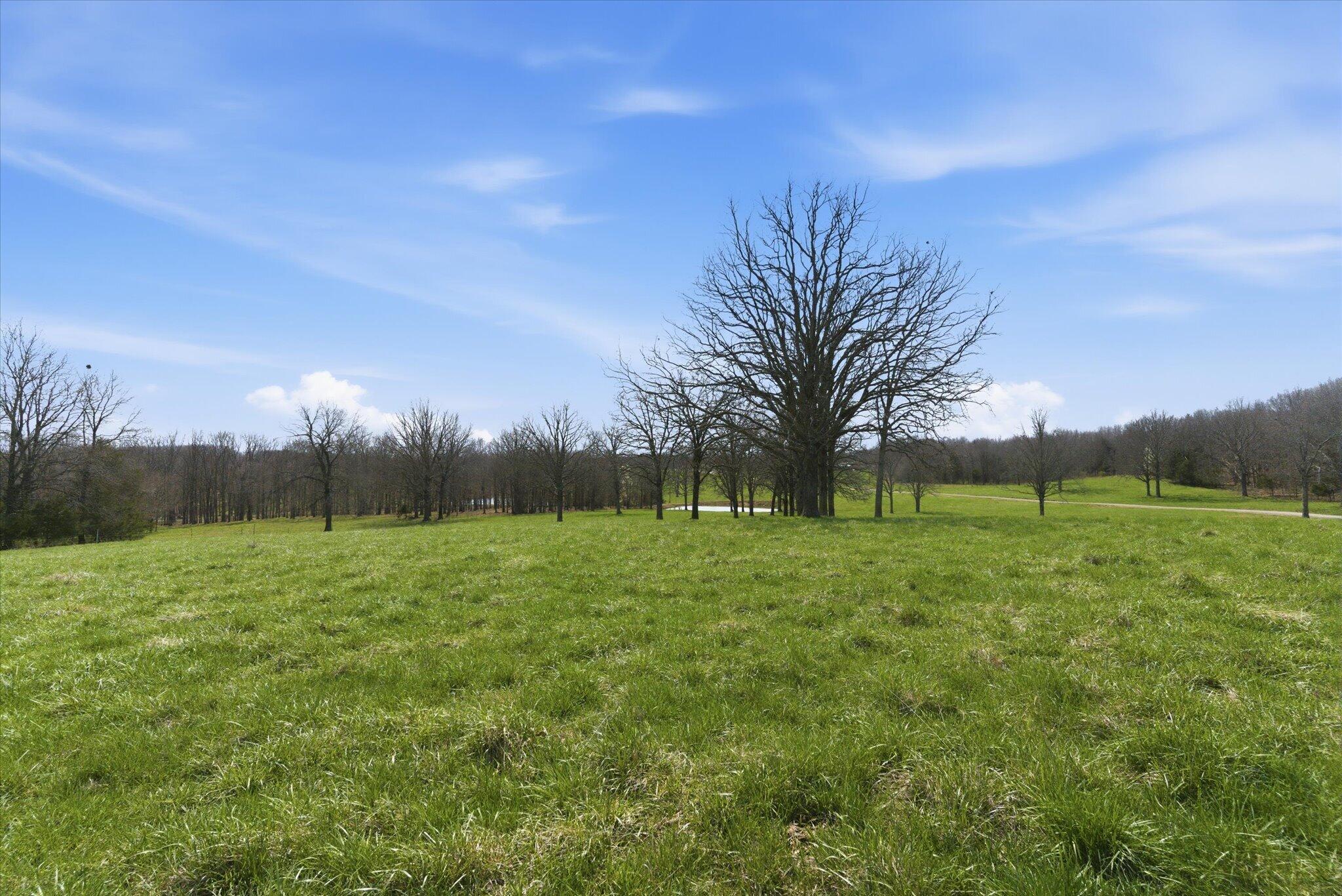 Photo 67 - Farm for sale – 8896  State Route Zz   West Plains, MO