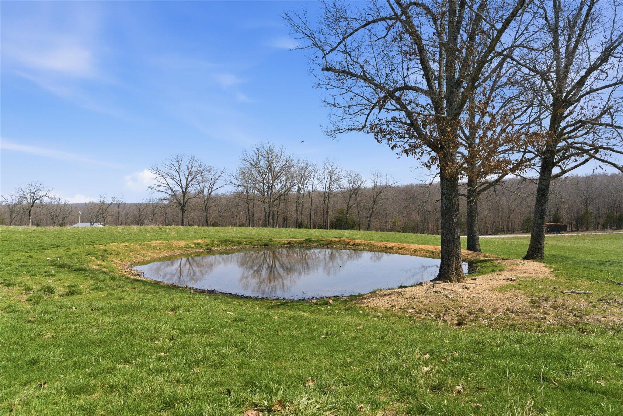 Photo 74 - Farm for sale – 8896  State Route Zz   West Plains, MO