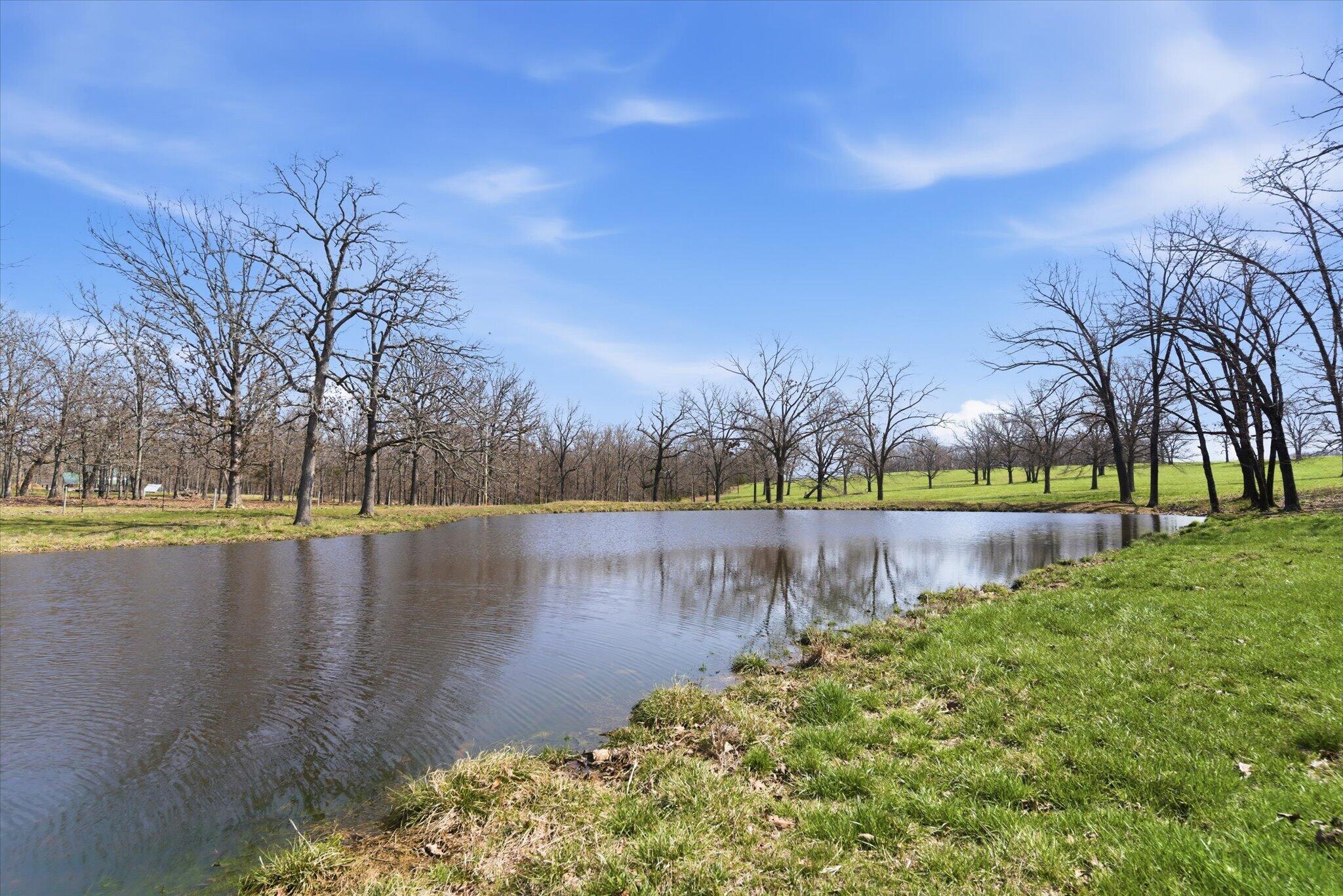 Photo 71 - Farm for sale – 8896  State Route Zz   West Plains, MO