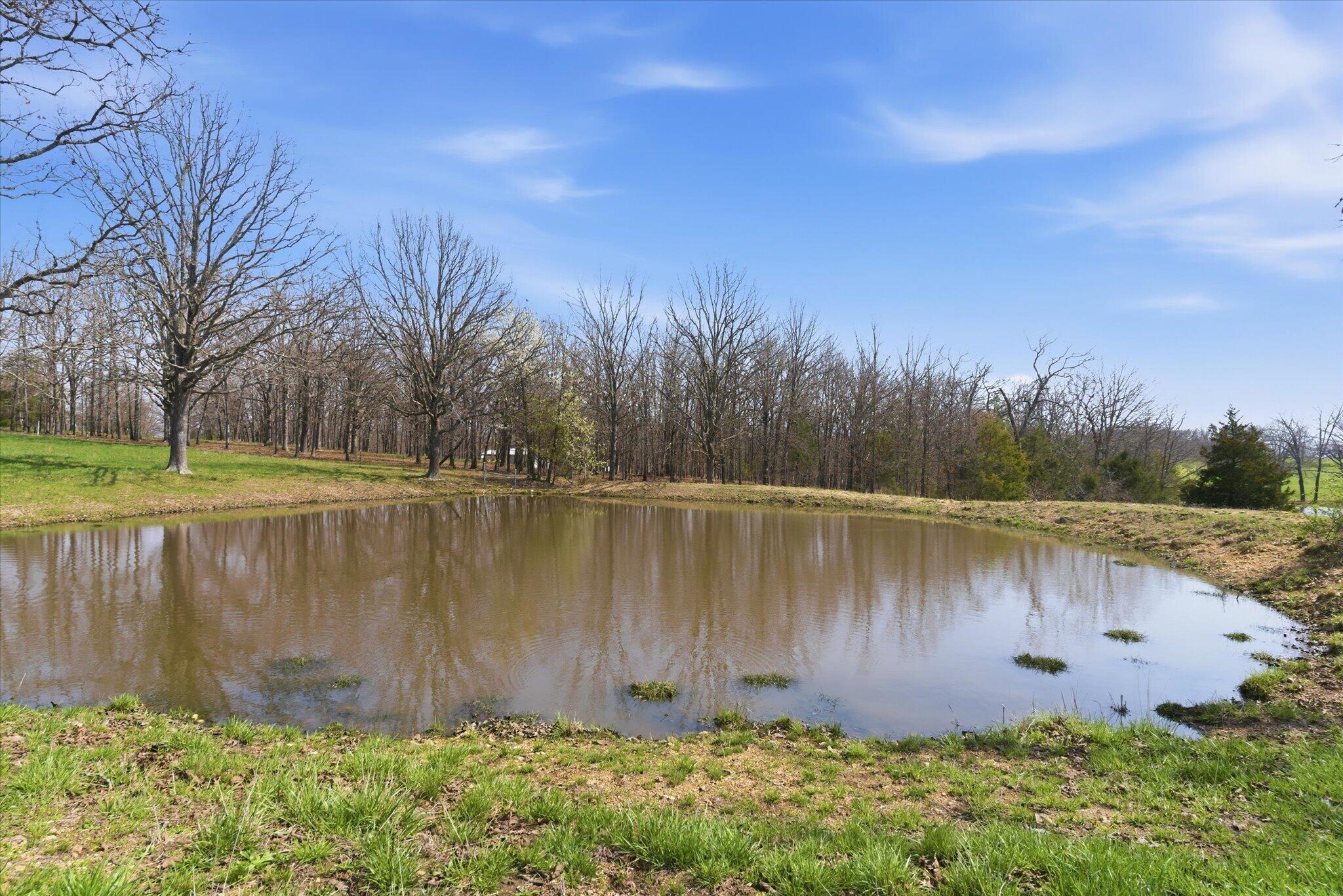 Photo 62 - Farm for sale – 8896  State Route Zz   West Plains, MO