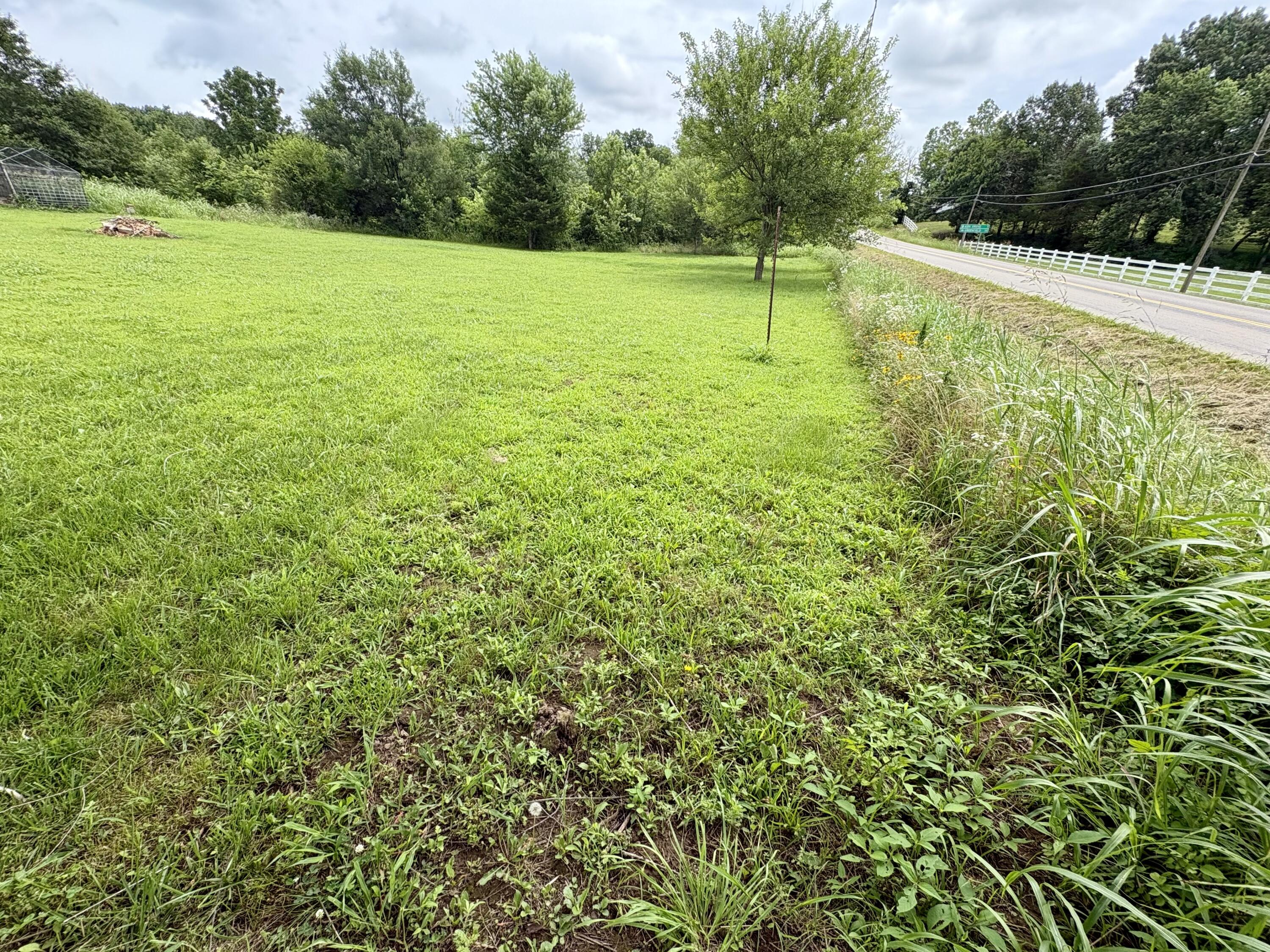 Photo 4 - Land for sale – 110 N Gymnasium Street  Everton, MO