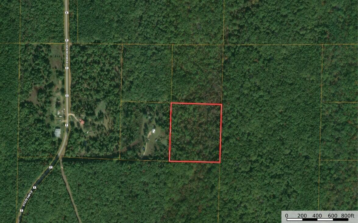 Photo 2 - Land for sale – 000  Forest Service Road   Birch Tree, MO