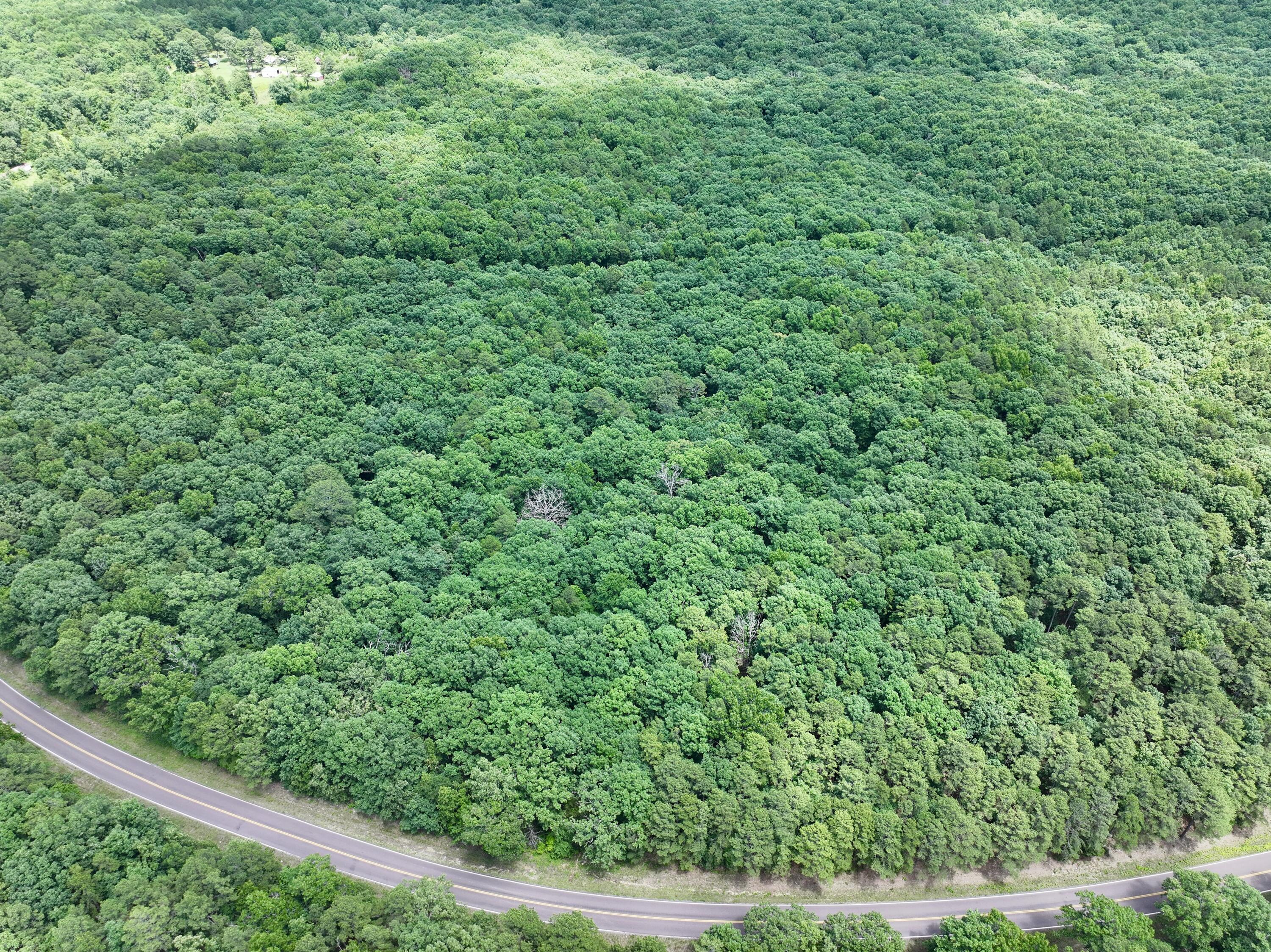 Photo 3 - Land for sale – 000  Forest Service Road   Birch Tree, MO