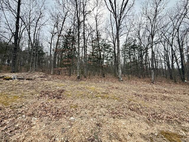 Photo 5 - Land for sale – Lots 81/82  Green Cypress Lane   Shell Knob, MO