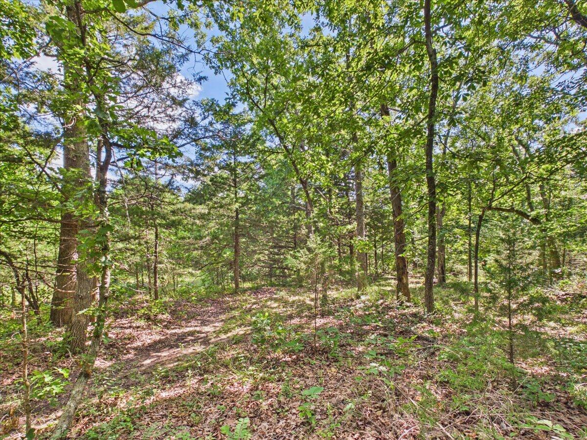 Photo 73 - Residential for sale – 37  Middle Earth Trail  Louisburg, MO