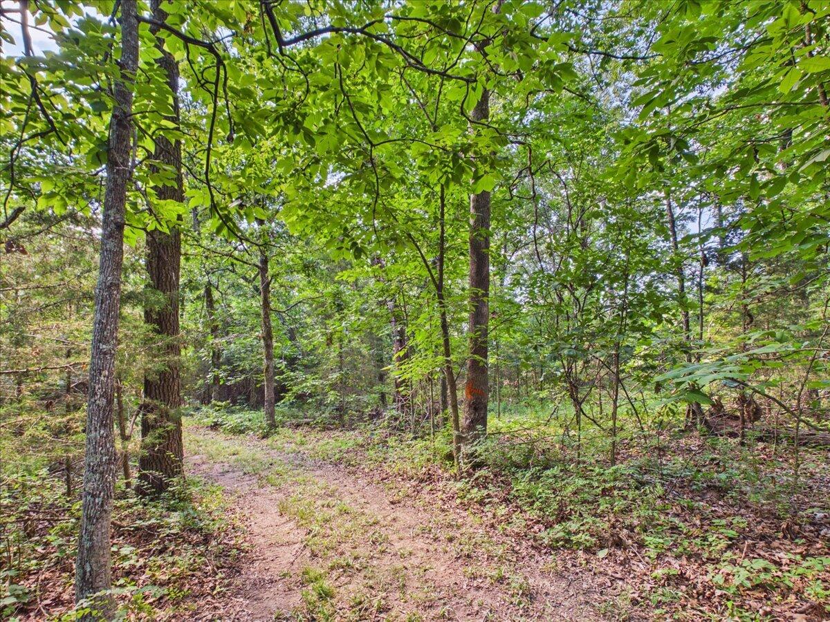 Photo 83 - Residential for sale – 37  Middle Earth Trail  Louisburg, MO