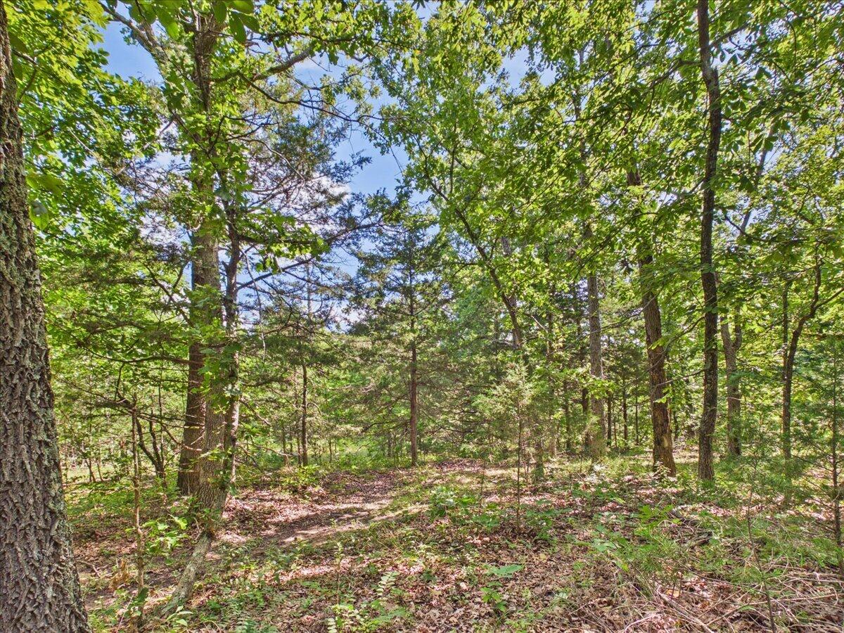 Photo 74 - Residential for sale – 37  Middle Earth Trail  Louisburg, MO