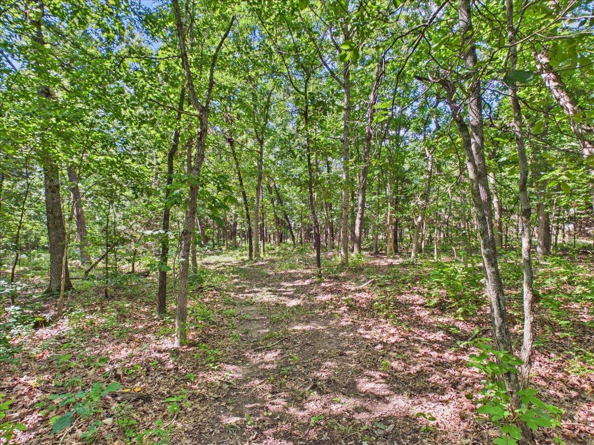 Photo 75 - Residential for sale – 37  Middle Earth Trail  Louisburg, MO