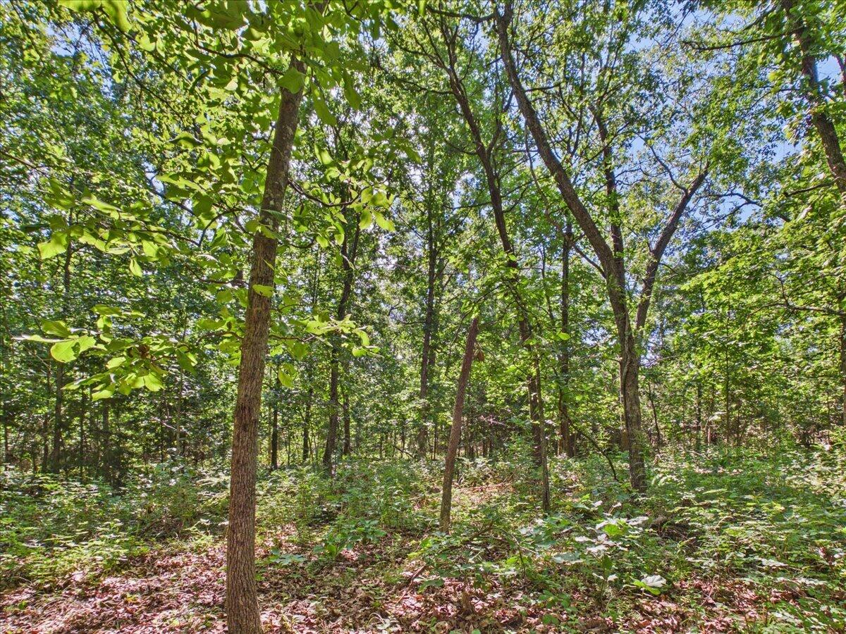 Photo 81 - Residential for sale – 37  Middle Earth Trail  Louisburg, MO