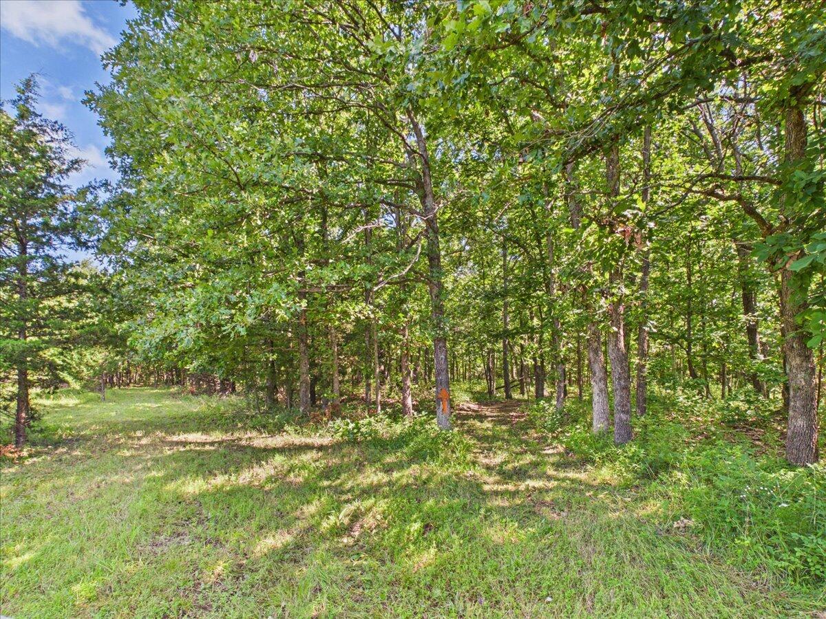 Photo 80 - Residential for sale – 37  Middle Earth Trail  Louisburg, MO
