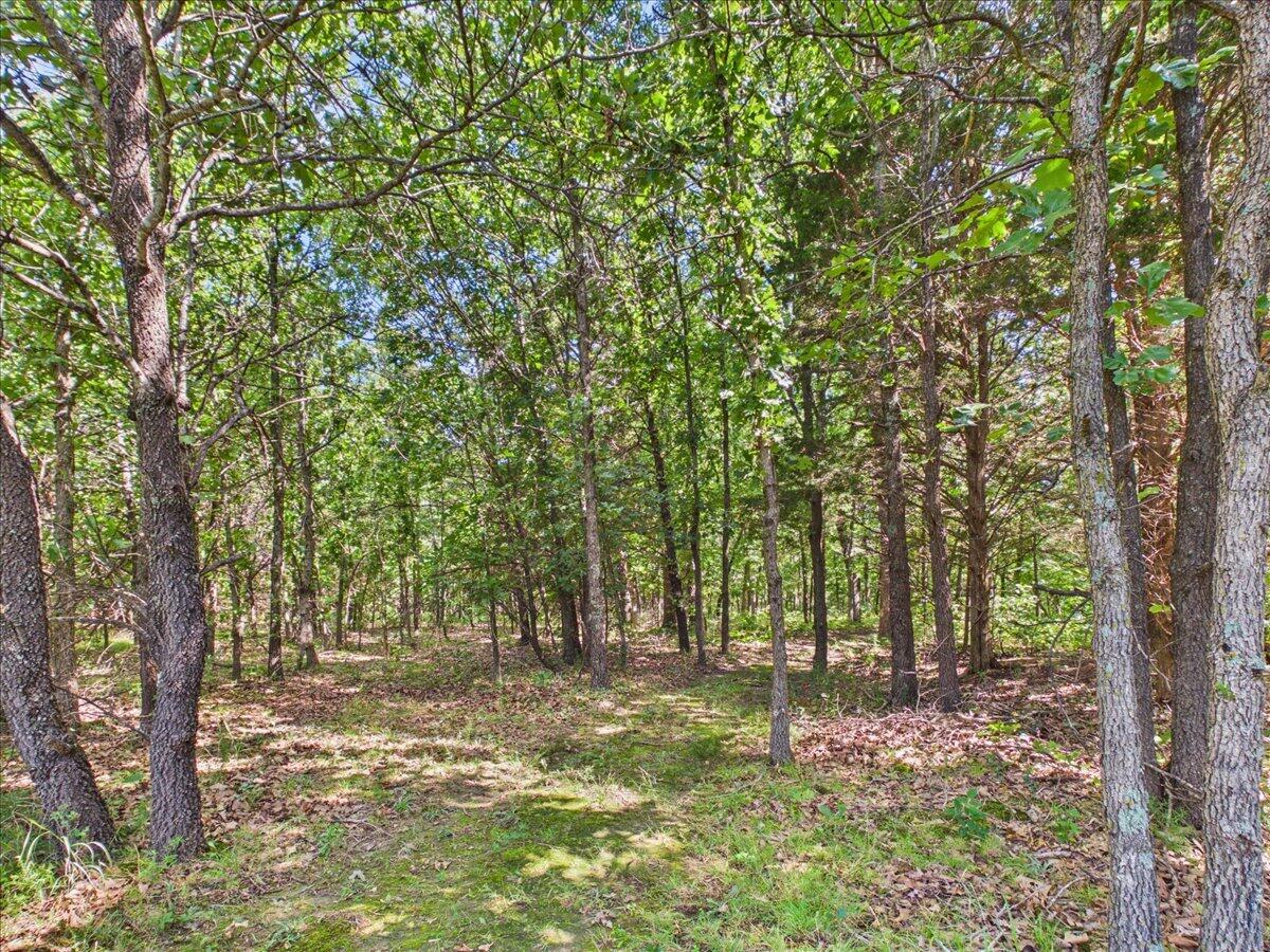 Photo 78 - Residential for sale – 37  Middle Earth Trail  Louisburg, MO
