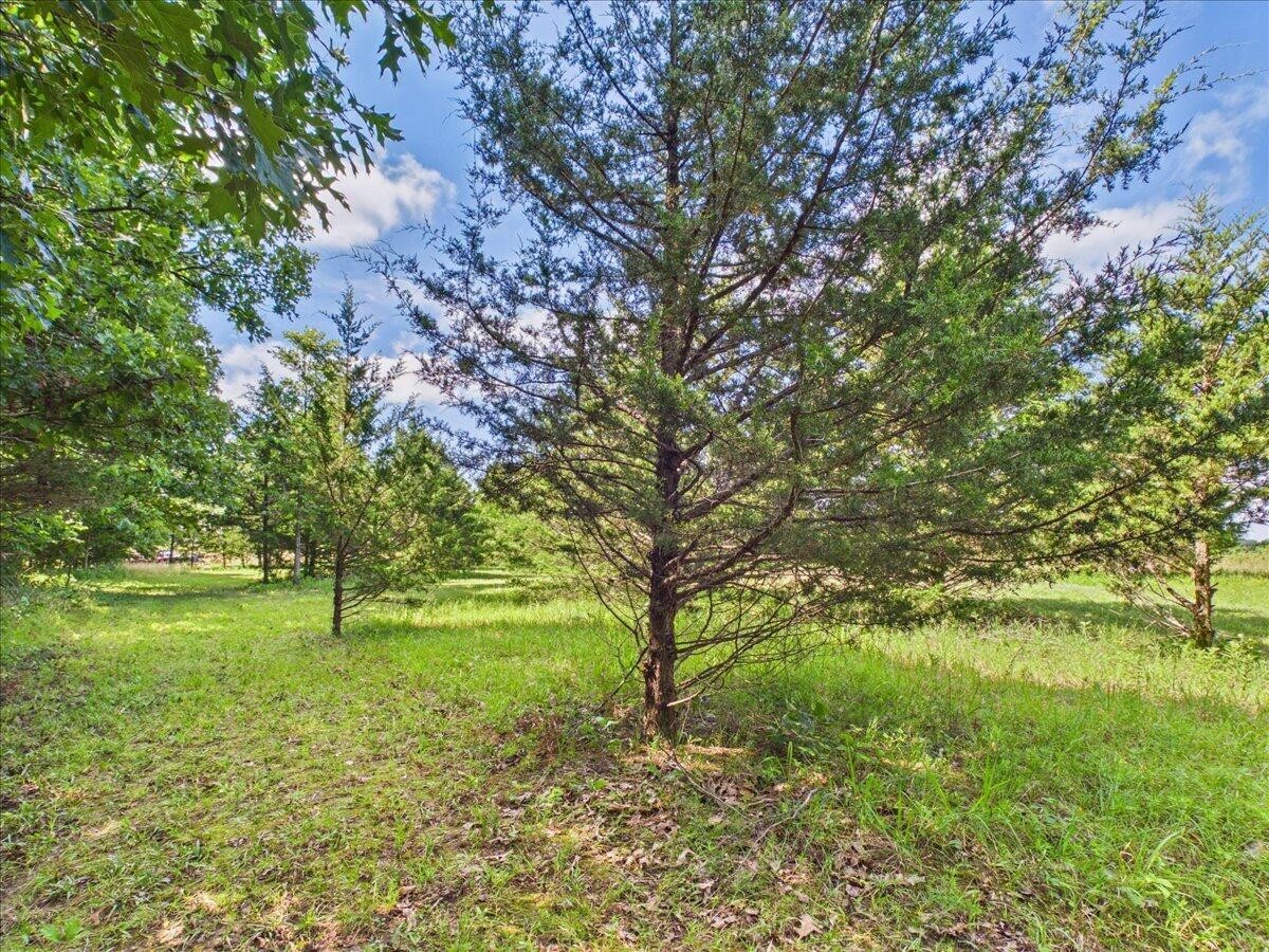 Photo 77 - Residential for sale – 37  Middle Earth Trail  Louisburg, MO