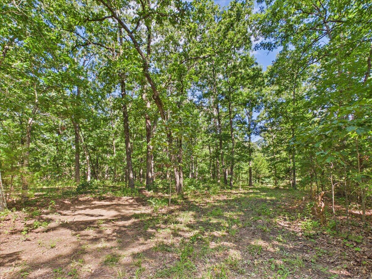Photo 82 - Residential for sale – 37  Middle Earth Trail  Louisburg, MO