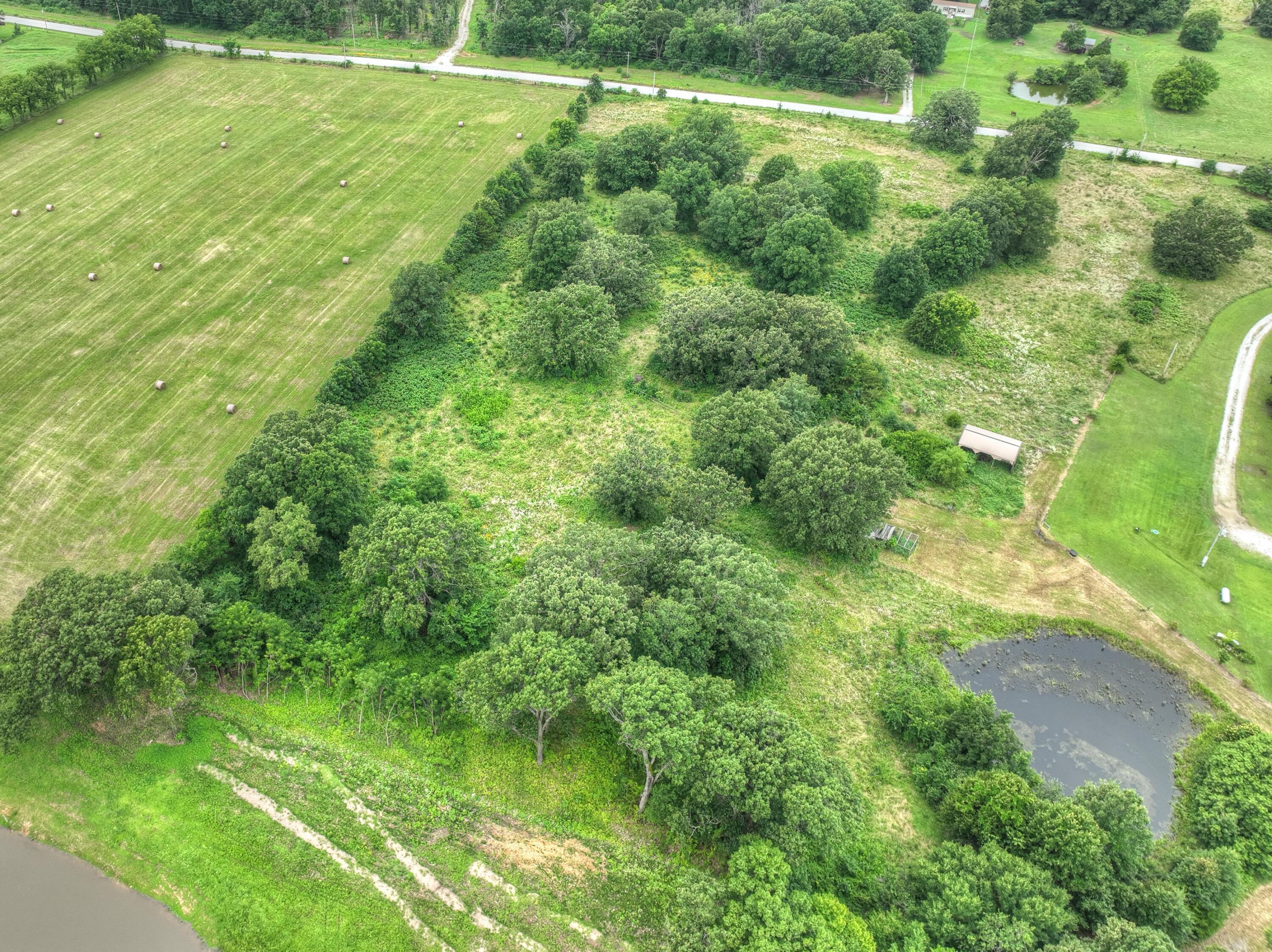 Photo 7 - Land for sale – 000  State Line Road  Seneca, MO