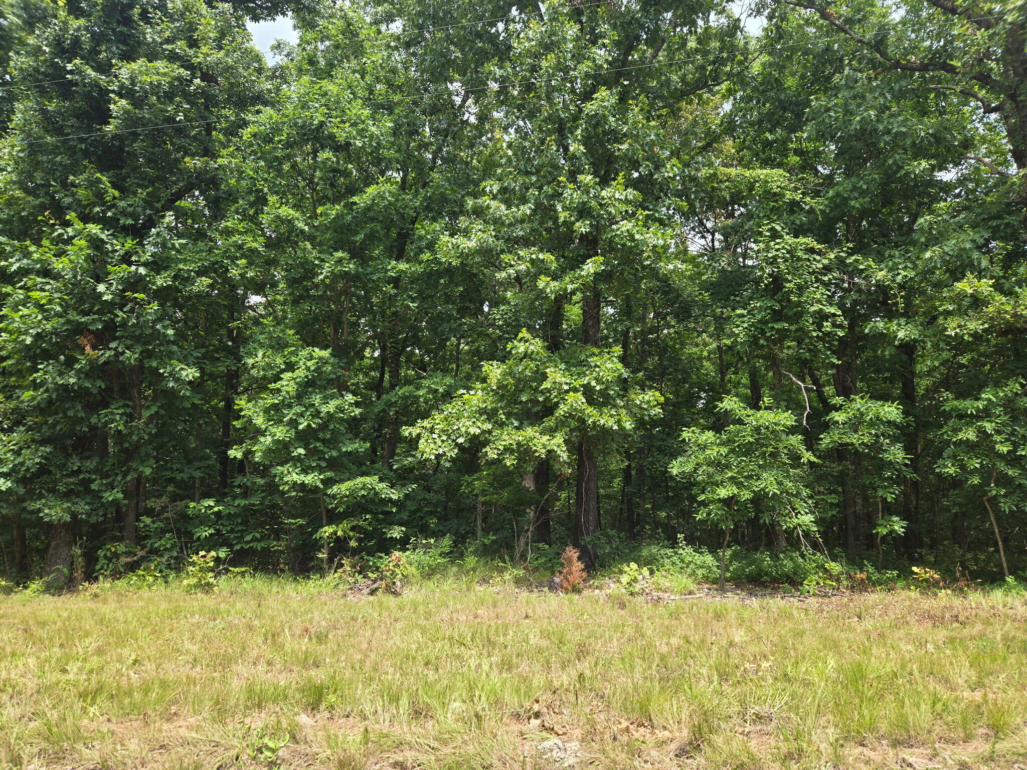 Photo 5 - Land for sale – 001  Muleshoe Trail  Elkland, MO