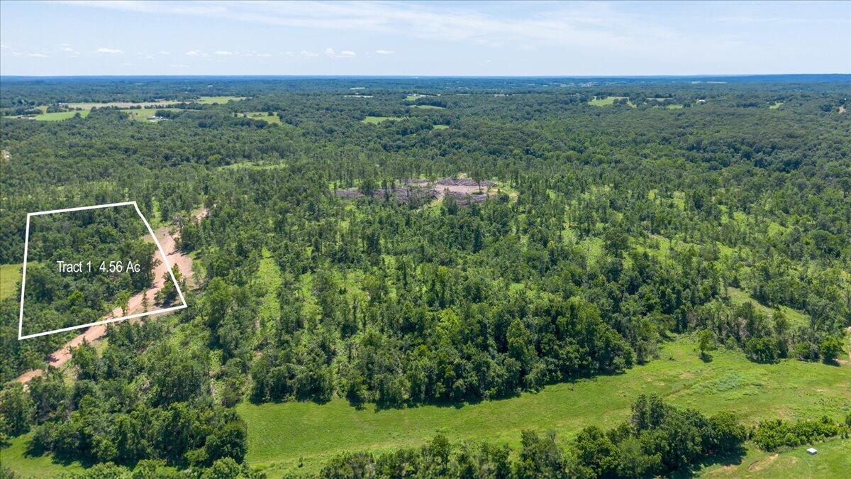 Land for sale – Lot 1  Adams Road  Goodman, MO