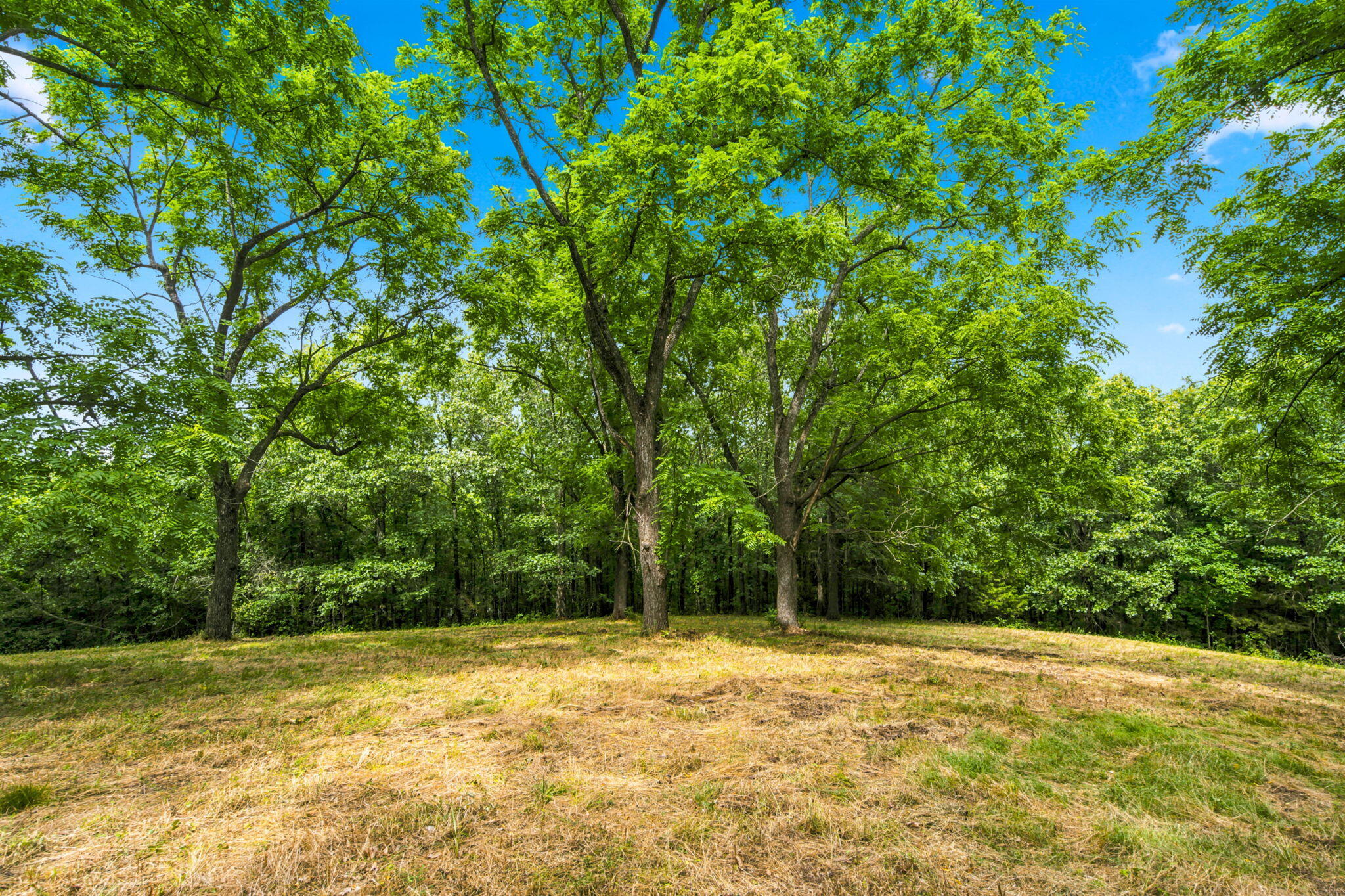 Photo 18 - Land for sale – Lot 12f  Kingsgate Road  Lampe, MO