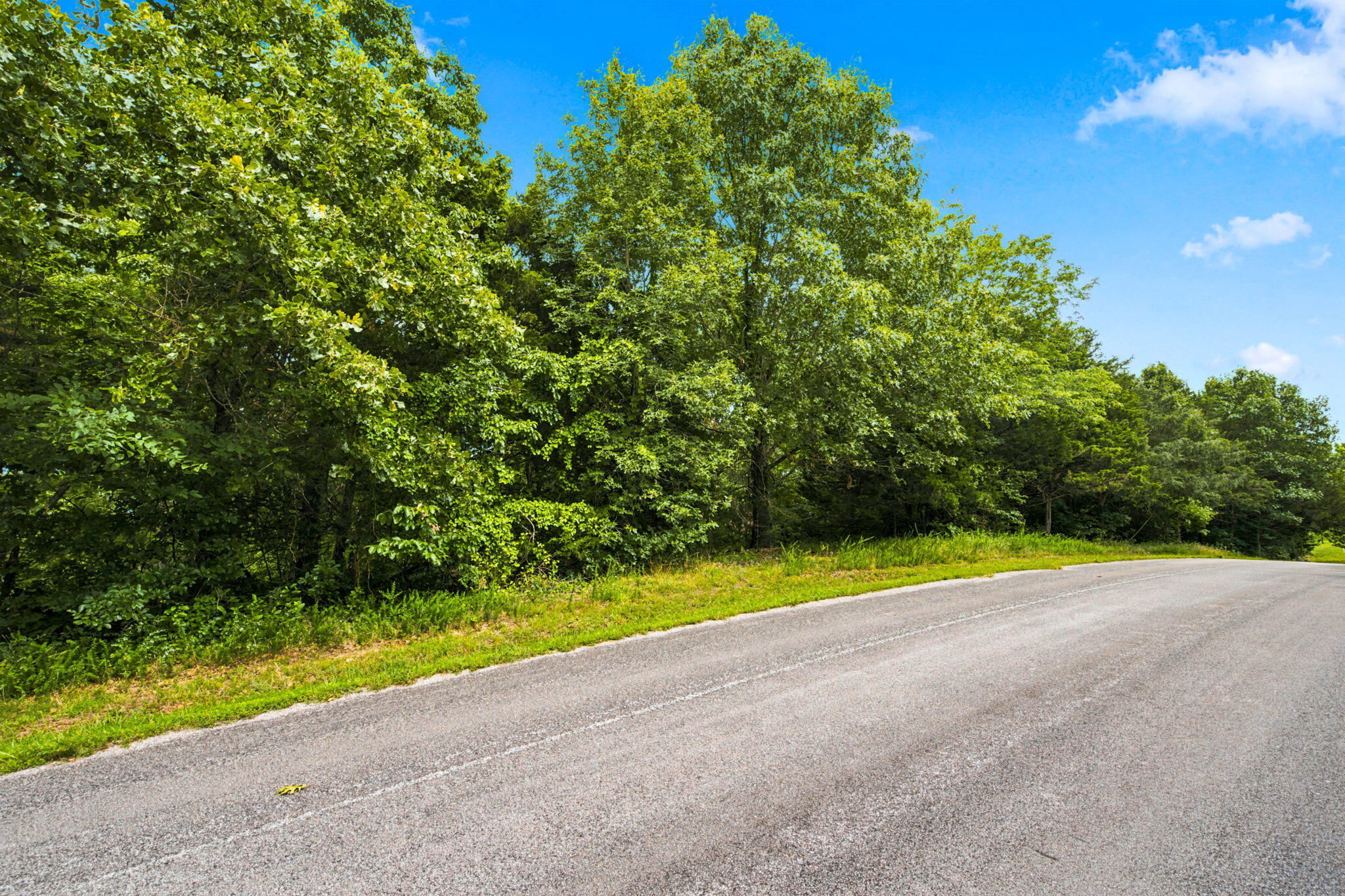 Photo 20 - Land for sale – Lot 12f  Kingsgate Road  Lampe, MO