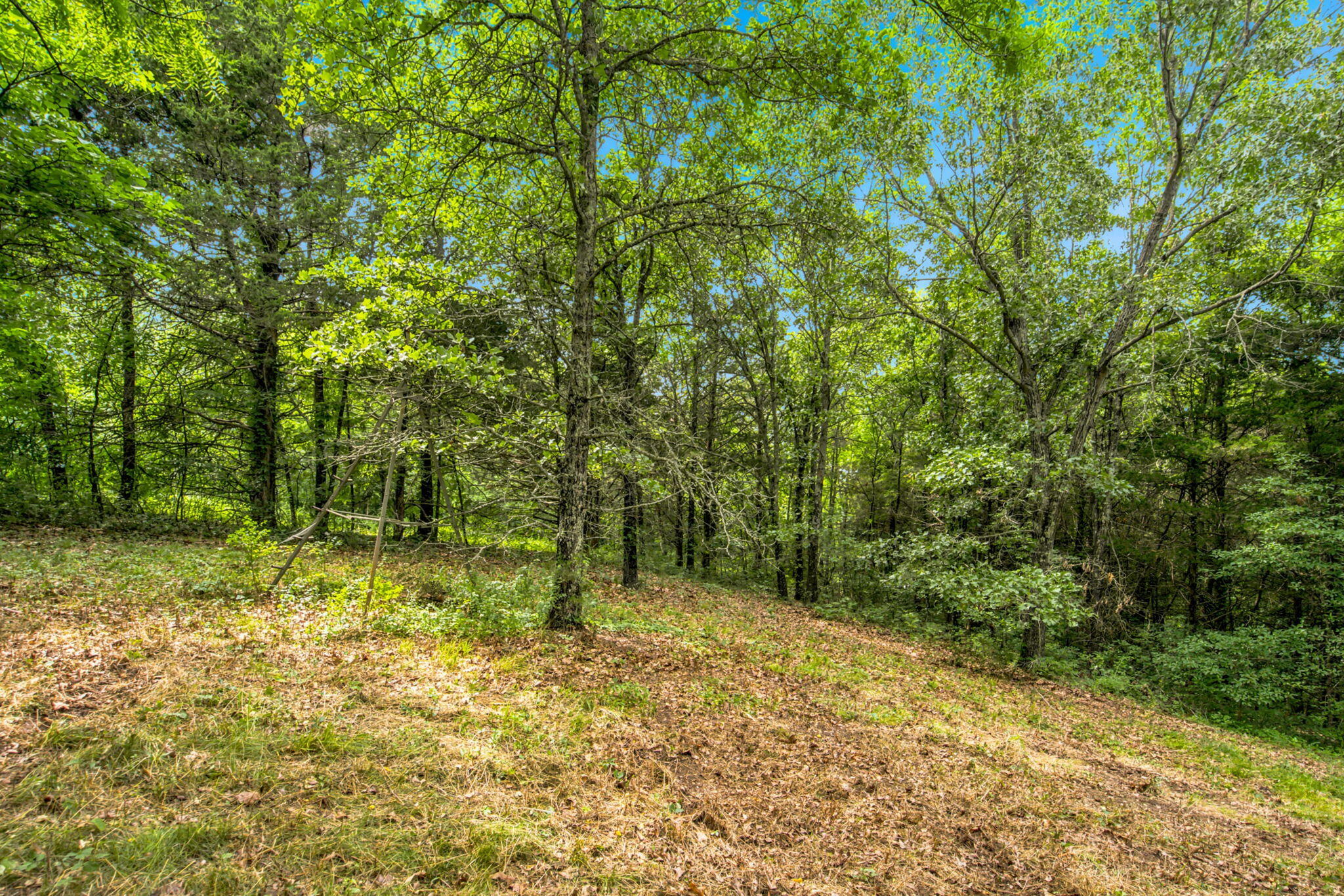 Photo 17 - Land for sale – Lot 12f  Kingsgate Road  Lampe, MO