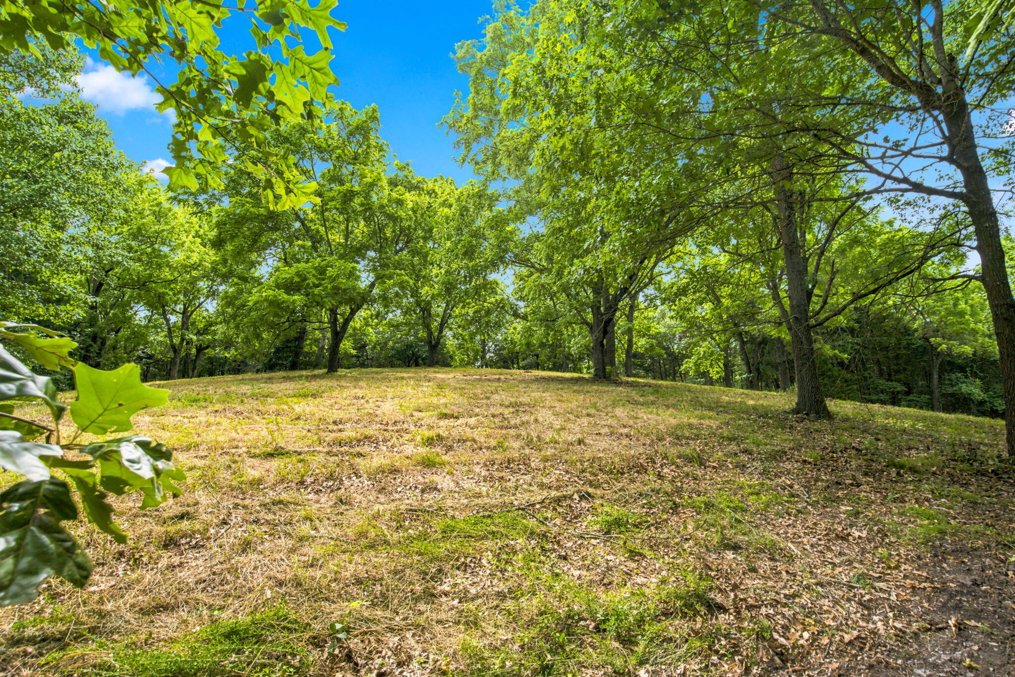 Photo 2 - Land for sale – Lot 12f  Kingsgate Road  Lampe, MO