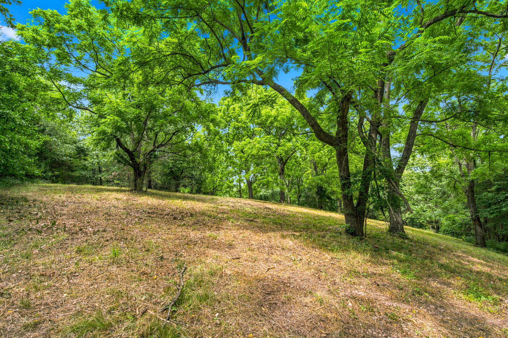 Photo 19 - Land for sale – Lot 12f  Kingsgate Road  Lampe, MO