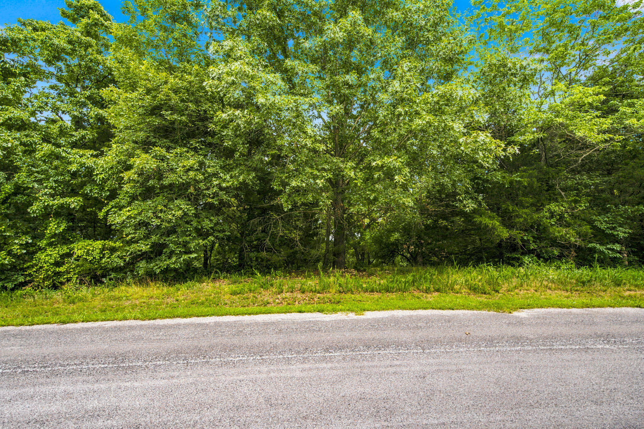 Photo 25 - Land for sale – Lot 12f  Kingsgate Road  Lampe, MO