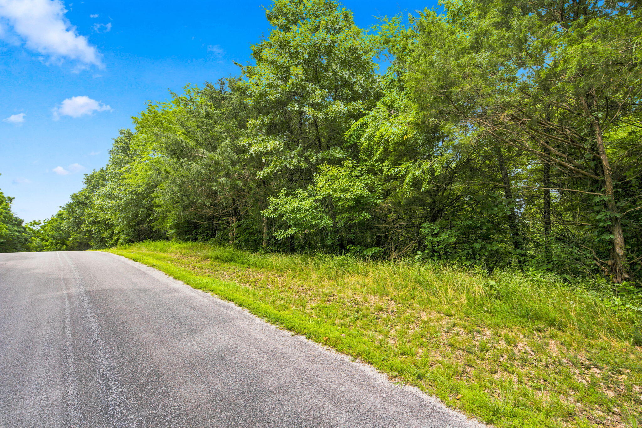 Photo 28 - Land for sale – Lot 12f  Kingsgate Road  Lampe, MO