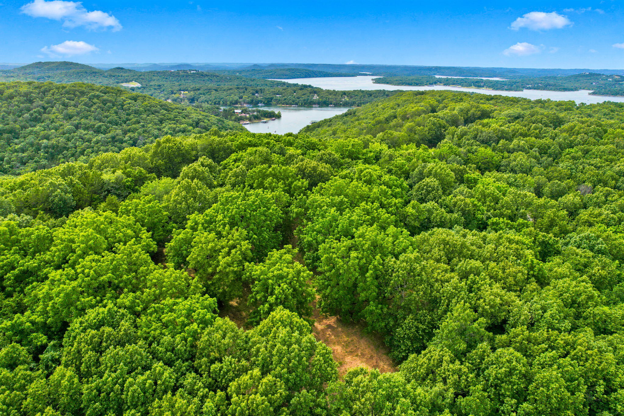 Photo 13 - Land for sale – Lot 12f  Kingsgate Road  Lampe, MO