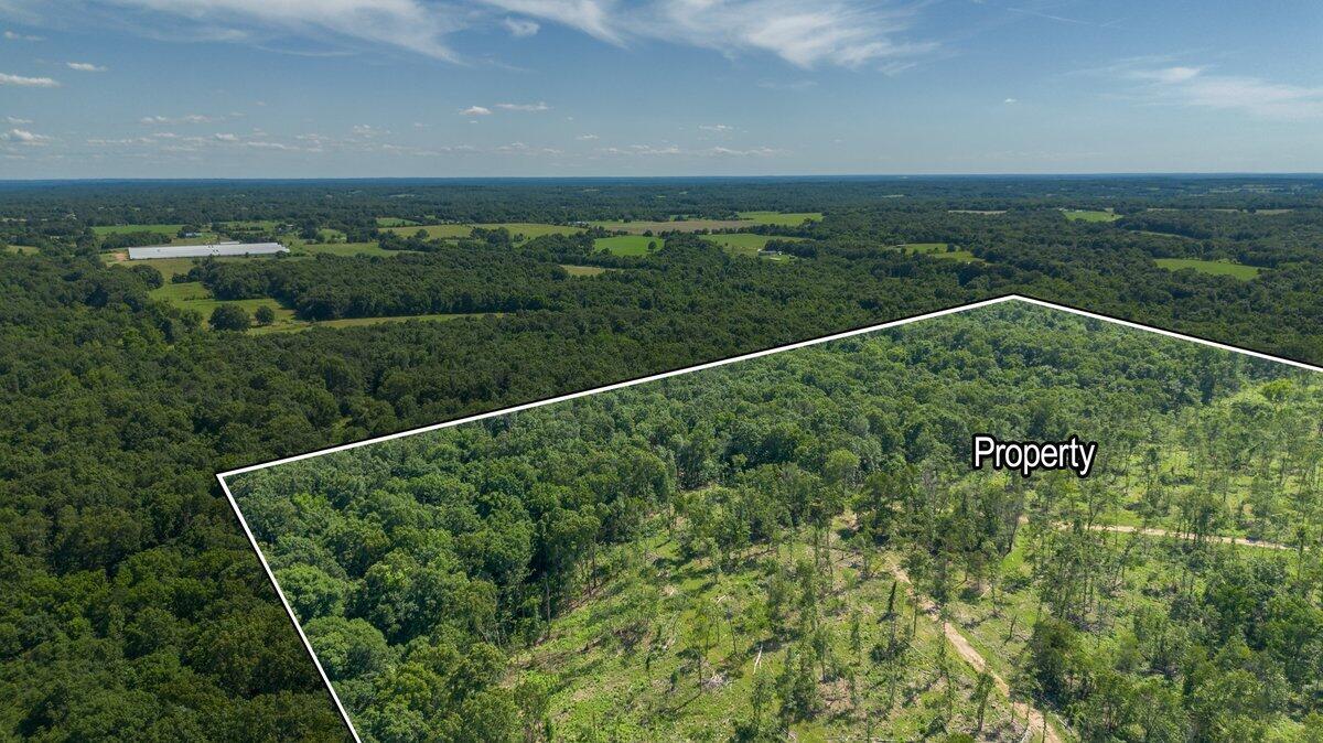 Photo 5 - Land for sale – Lot 2  Adams Road  Goodman, MO