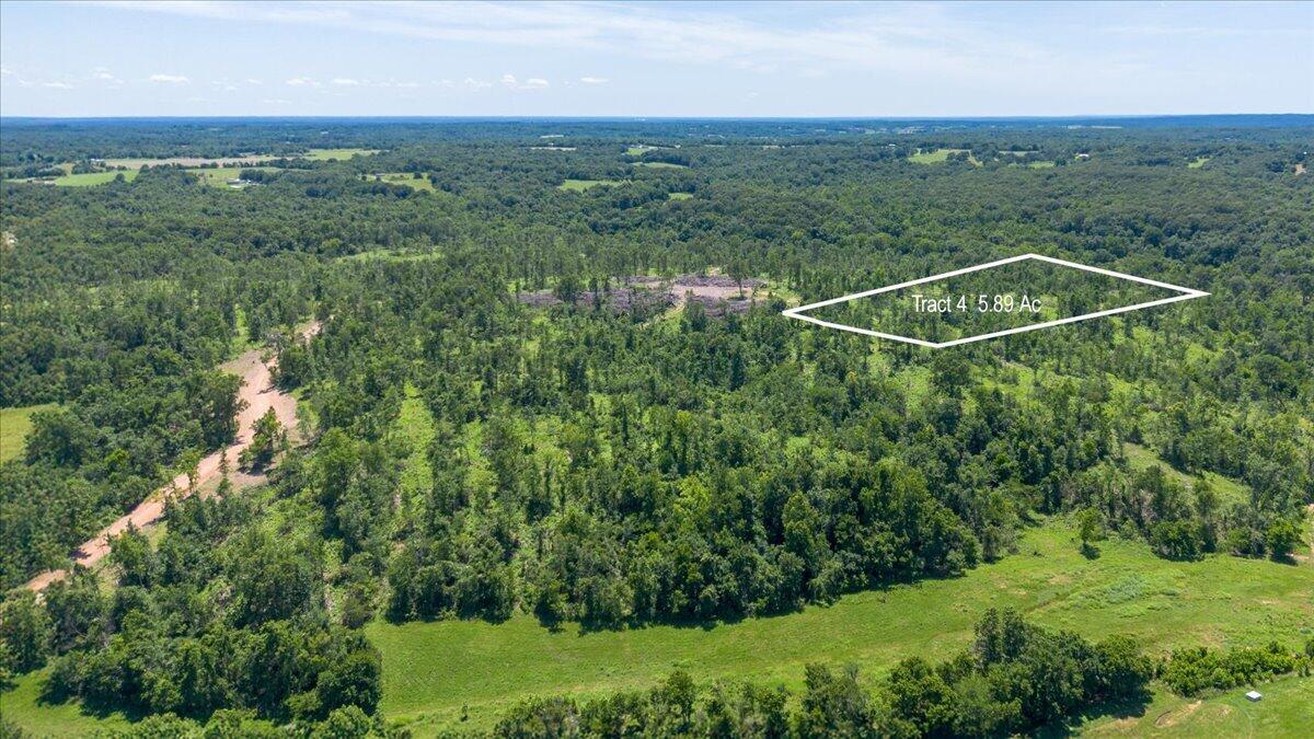 Land for sale – Lot 4  Adams Road  Goodman, MO