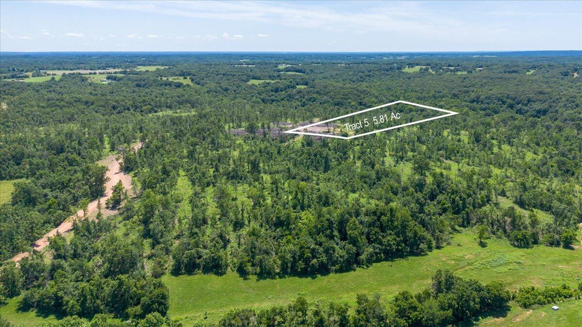 Land for sale – Lot 5  Adams Road  Goodman, MO