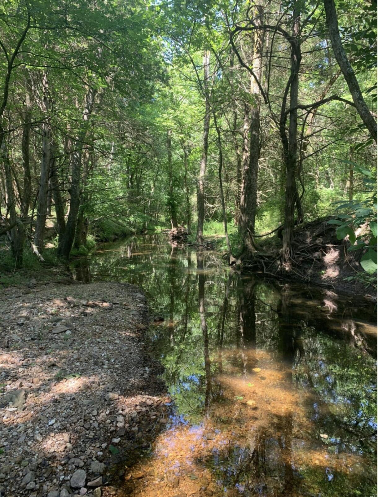 Photo 9 - Land for sale – 000  Thorpe Road  Elkland, MO