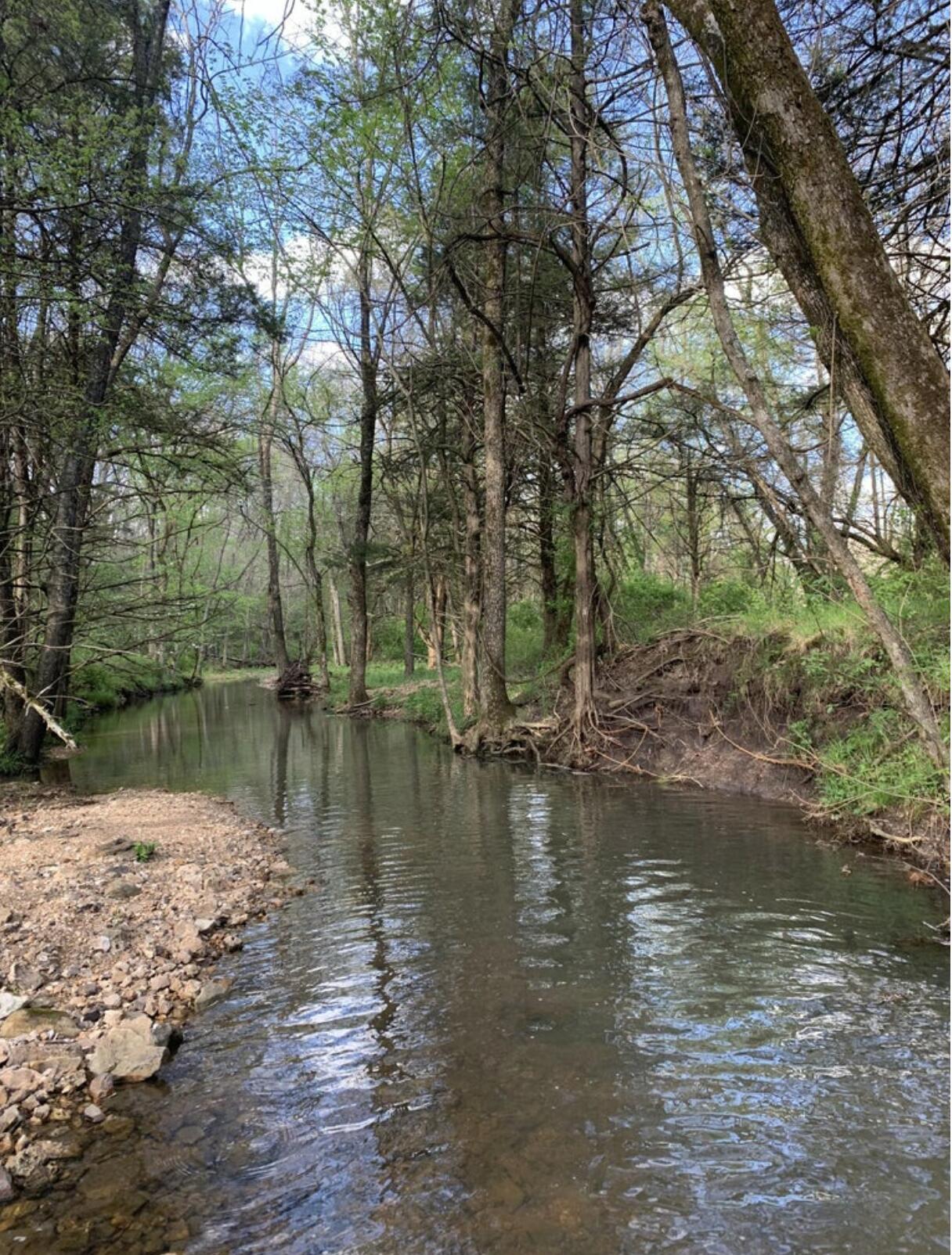 Photo 8 - Land for sale – 000  Thorpe Road  Elkland, MO
