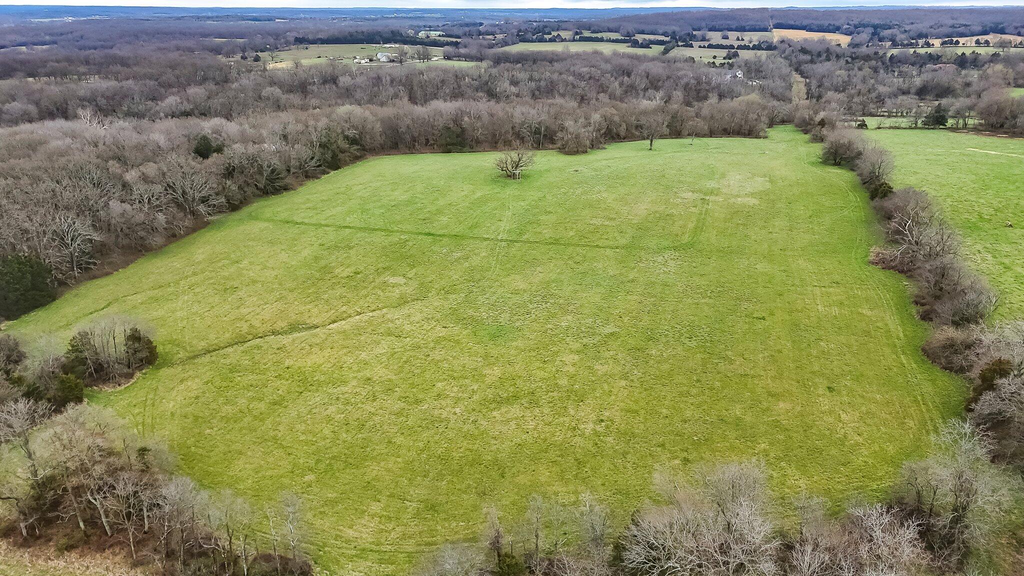 Photo 6 - Land for sale – 000  Thorpe Road  Elkland, MO