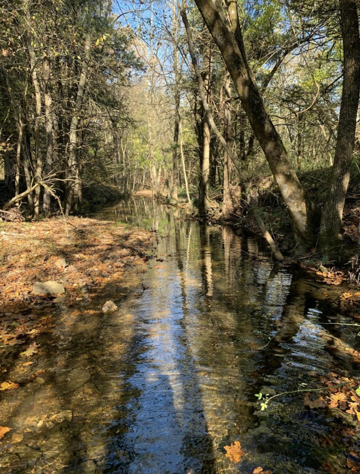 Photo 10 - Land for sale – 000  Thorpe Road  Elkland, MO
