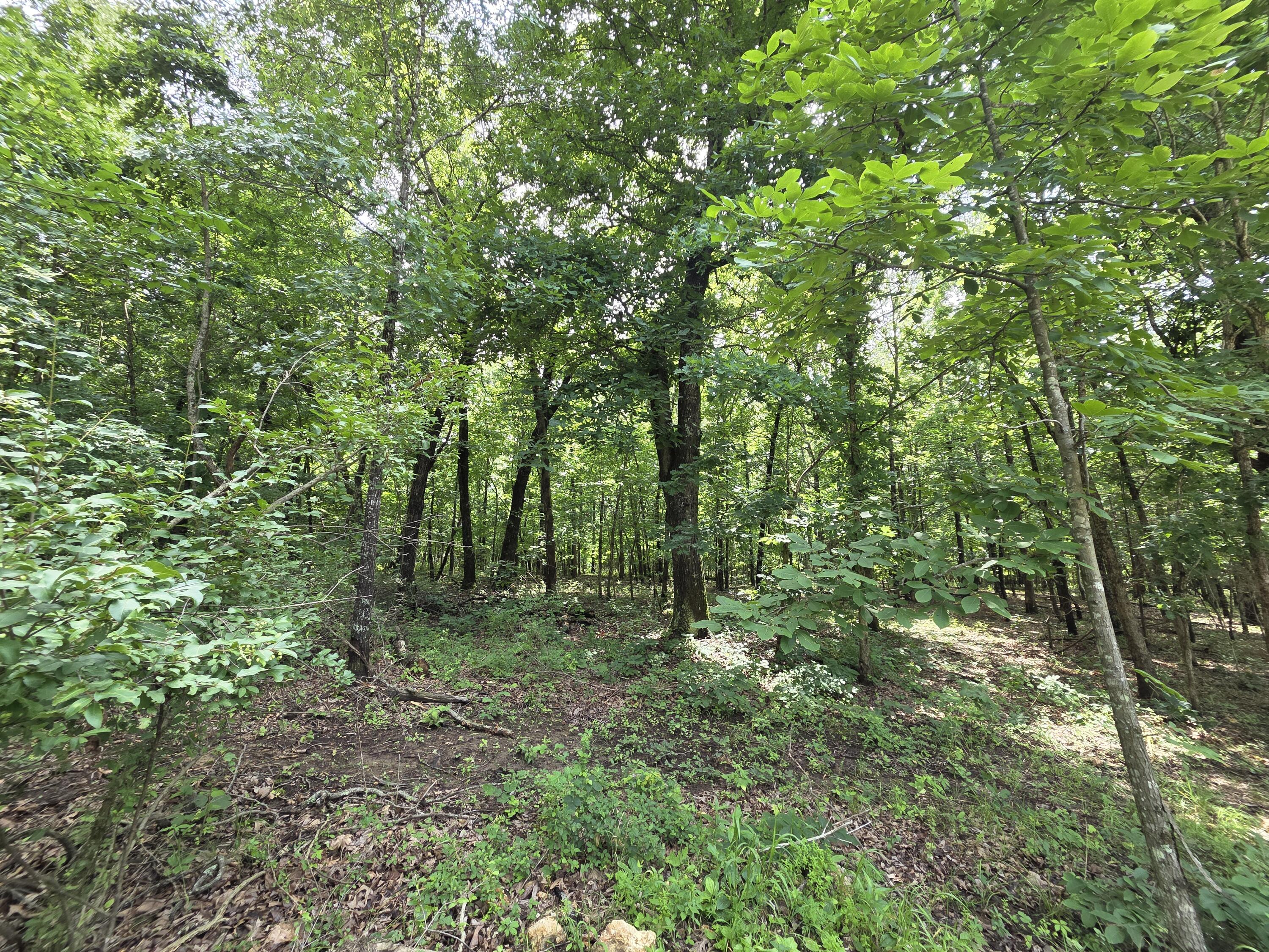 Photo 82 - Residential for sale – 1346  Golf Course Road  Marshfield, MO